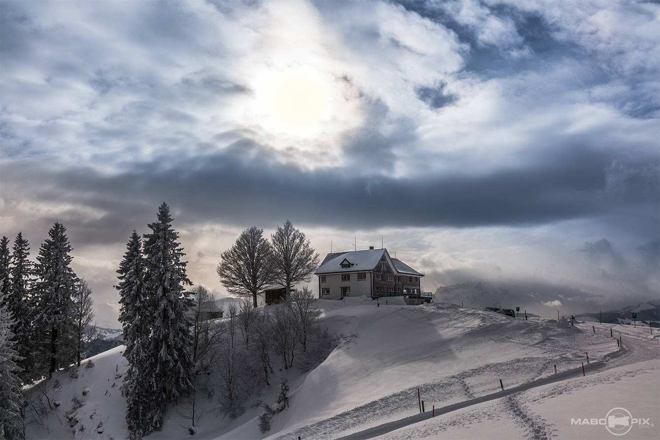 35mm F2.0 sample photo. Snowy mystical landscape photography