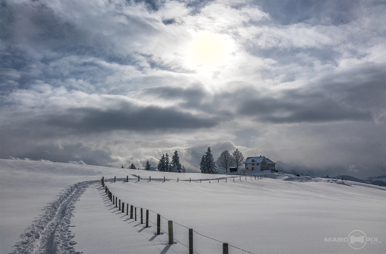 35mm F2.0 sample photo. Snowy mystical landscape photography