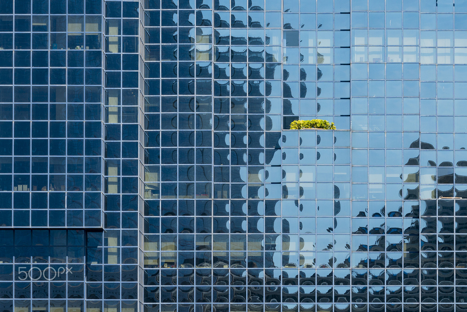 Nikon AF-S Nikkor 70-200mm F2.8G ED VR II sample photo. How to survive in a world of glass photography