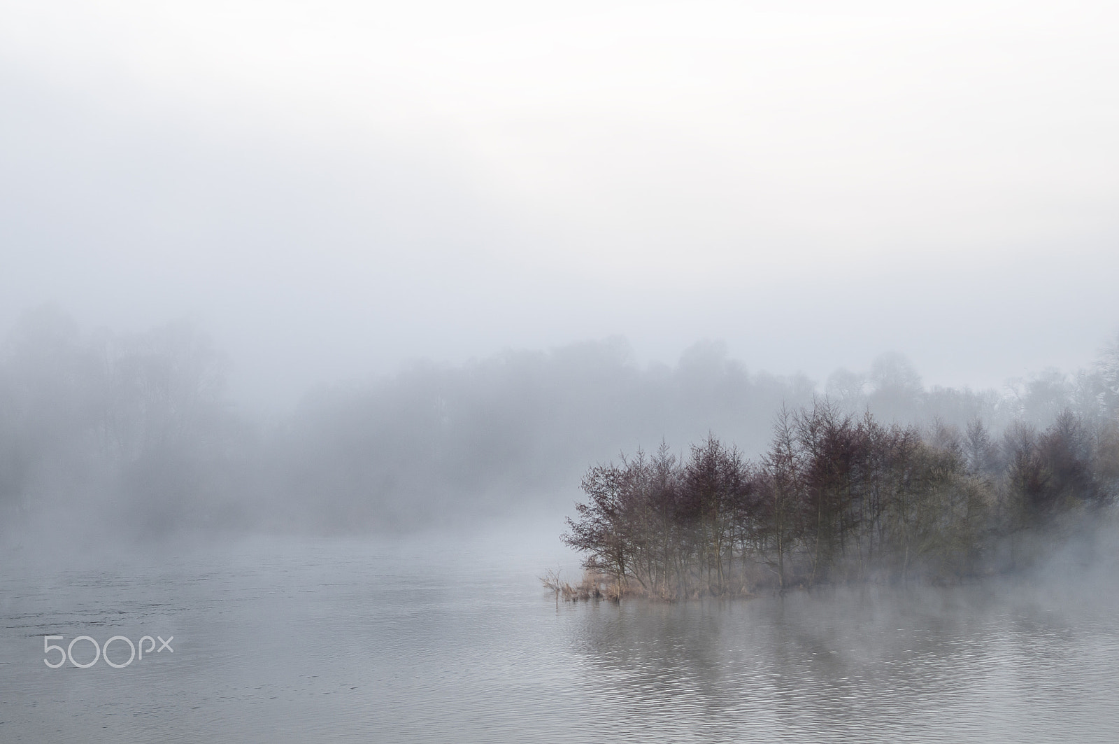 Nikon D300S + Sigma 28-105mm F2.8-4 Aspherical sample photo. Morning mist on the moselle river in gondreville, france photography