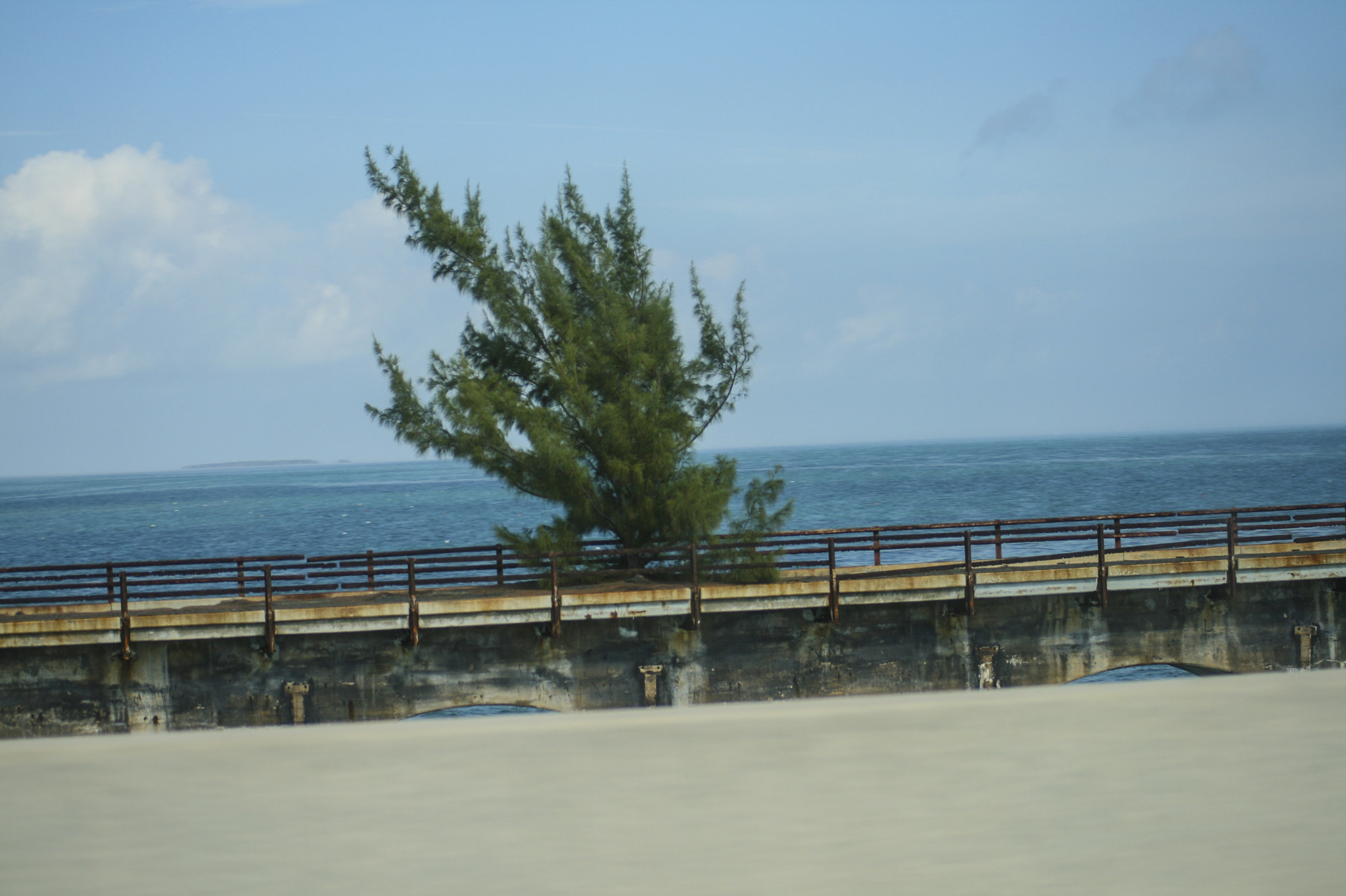 Canon EF 55-200mm F4.5-5.6 II USM sample photo. Florida photography