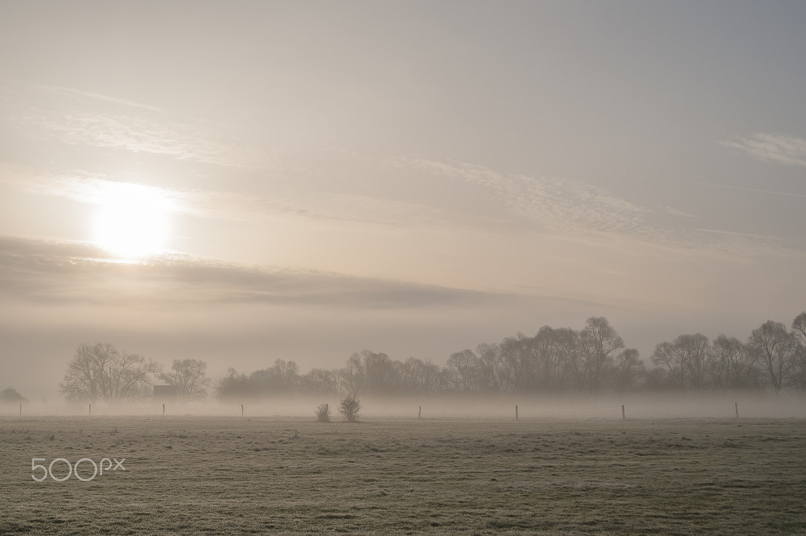 Nikon D300S + Sigma 28-105mm F2.8-4 Aspherical sample photo. The morning mist at dawn on the meadows near gondreville, france photography