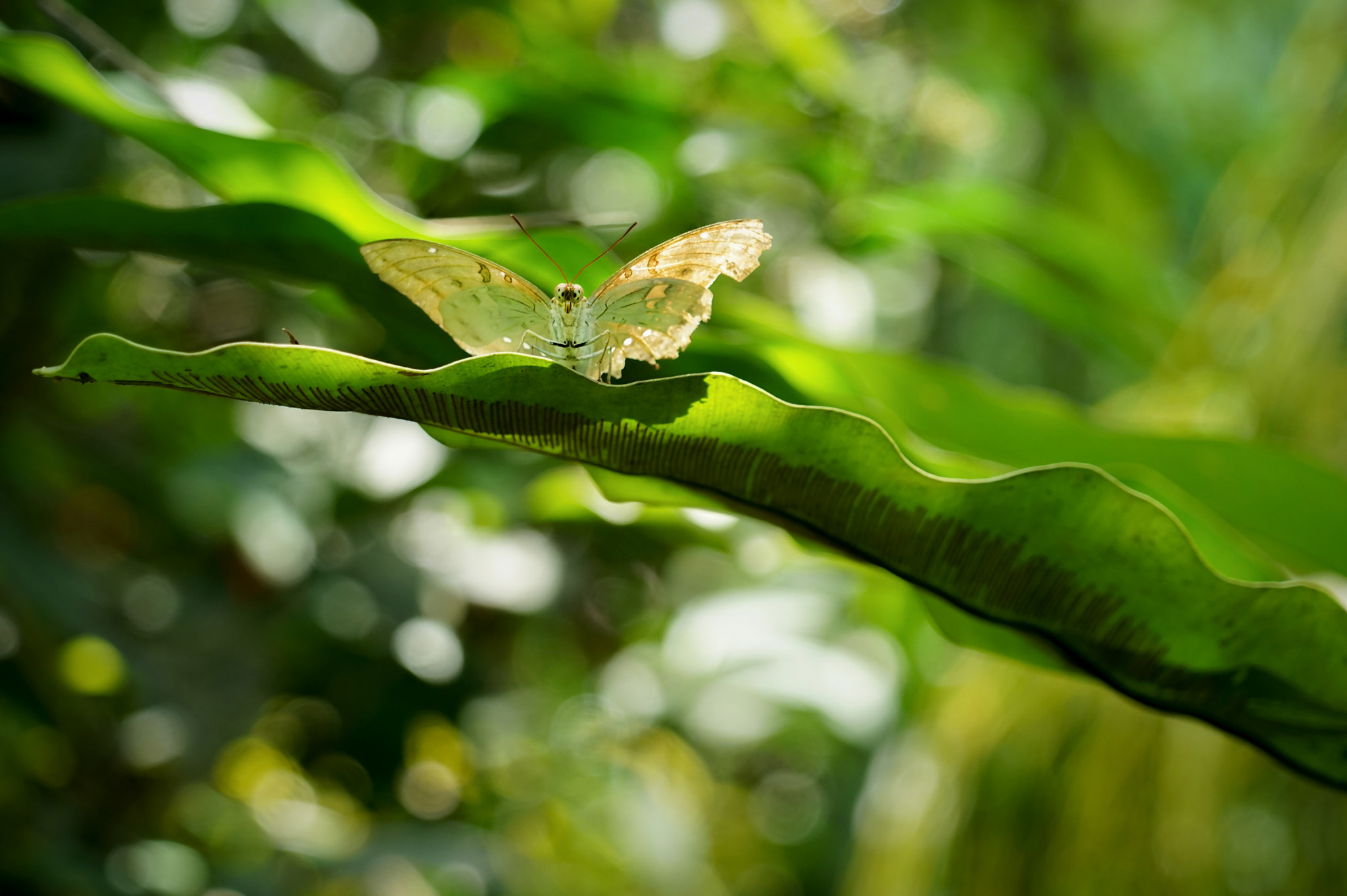 Sony a7R + Sony FE 24-240mm F3.5-6.3 OSS sample photo. Ready to  takeoff photography