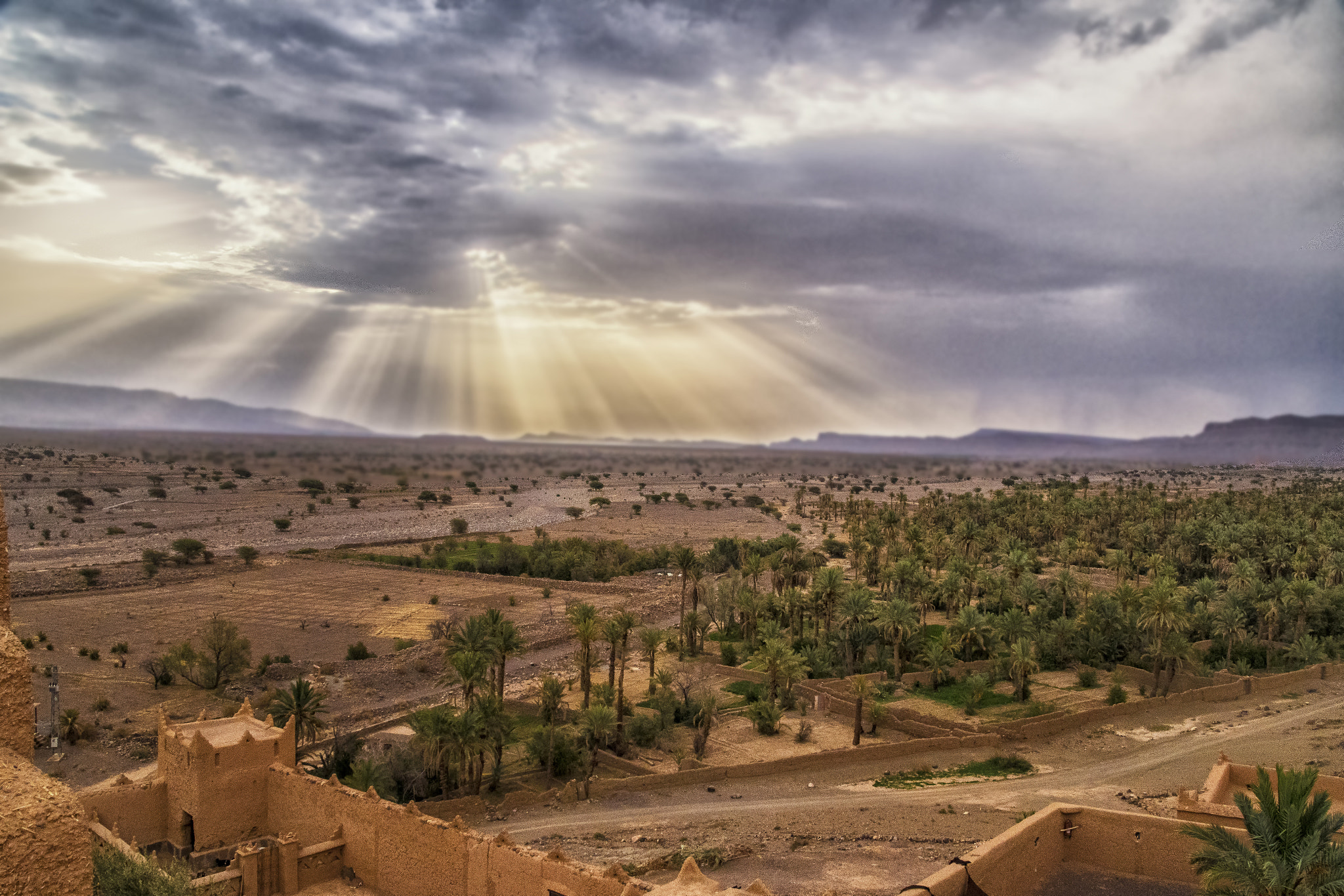Nikon D500 sample photo. Sun light over desert photography