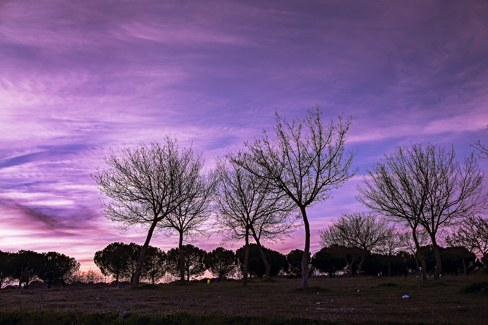 Nikon D500 sample photo. 22. armonia natural photography