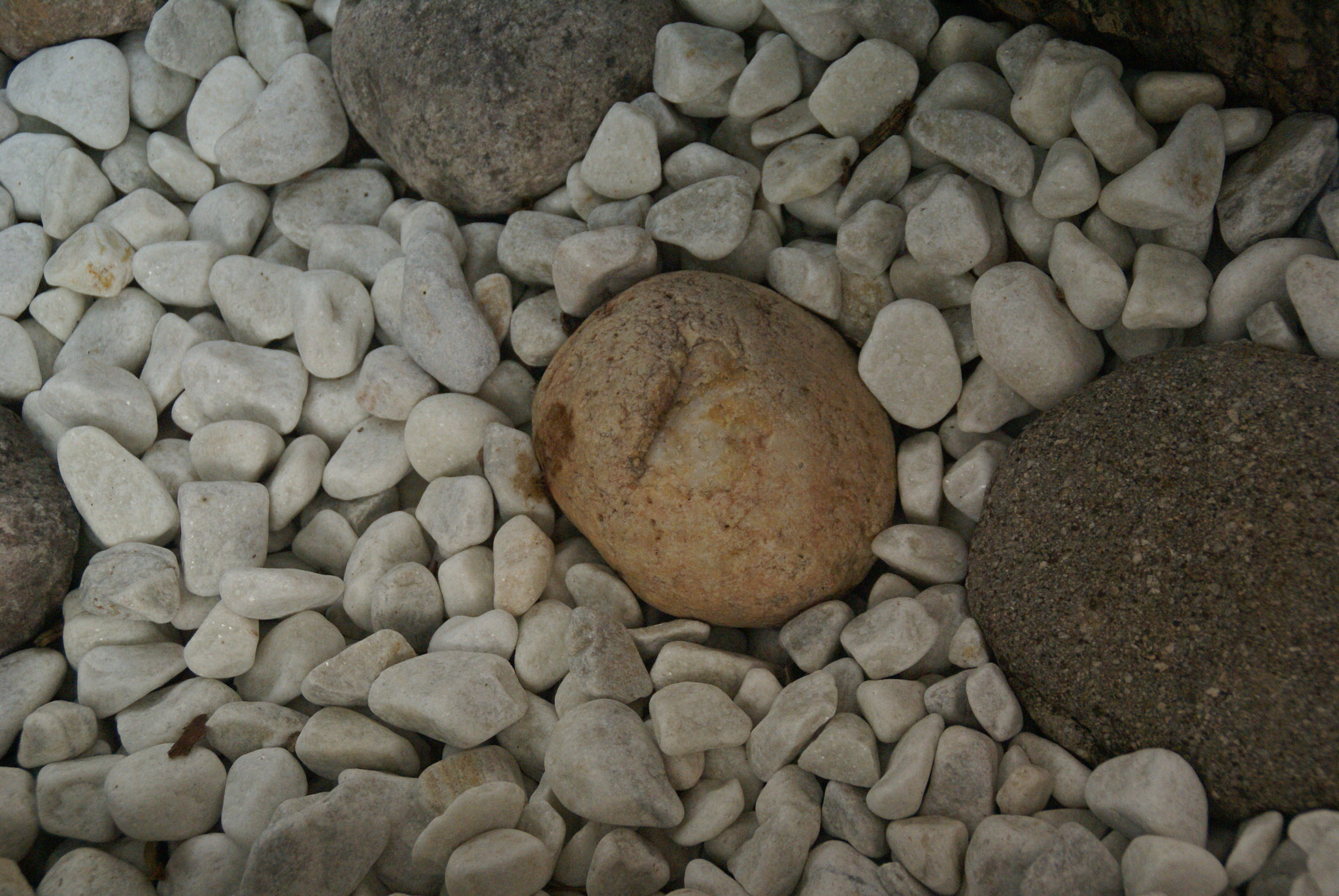 Sony DT 18-200mm F3.5-6.3 sample photo. Permanent like a stone photography