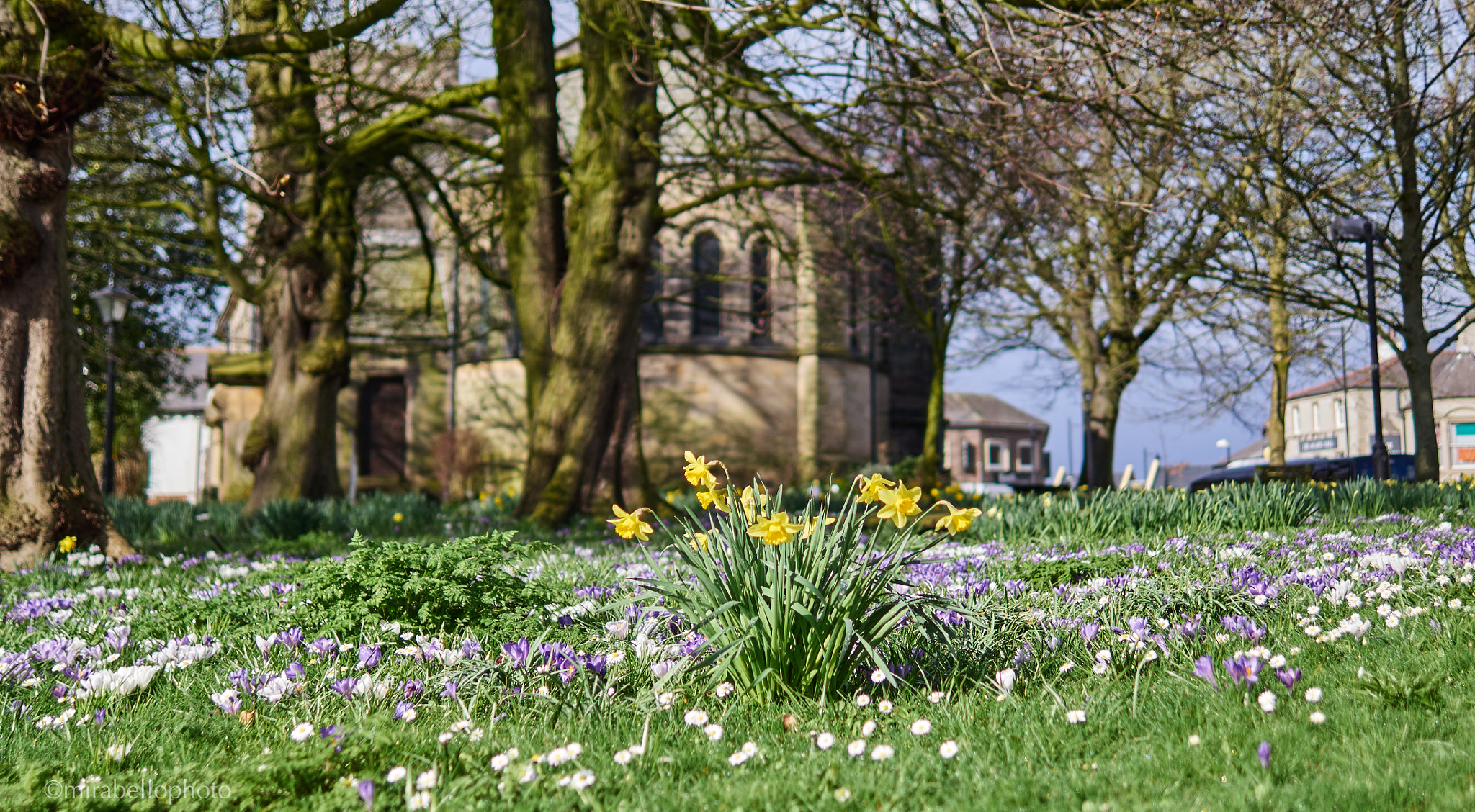 Panasonic LEICA DG SUMMILUX 25mm / F1.4 ASPH sample photo. Springtime - st. chad's church photography