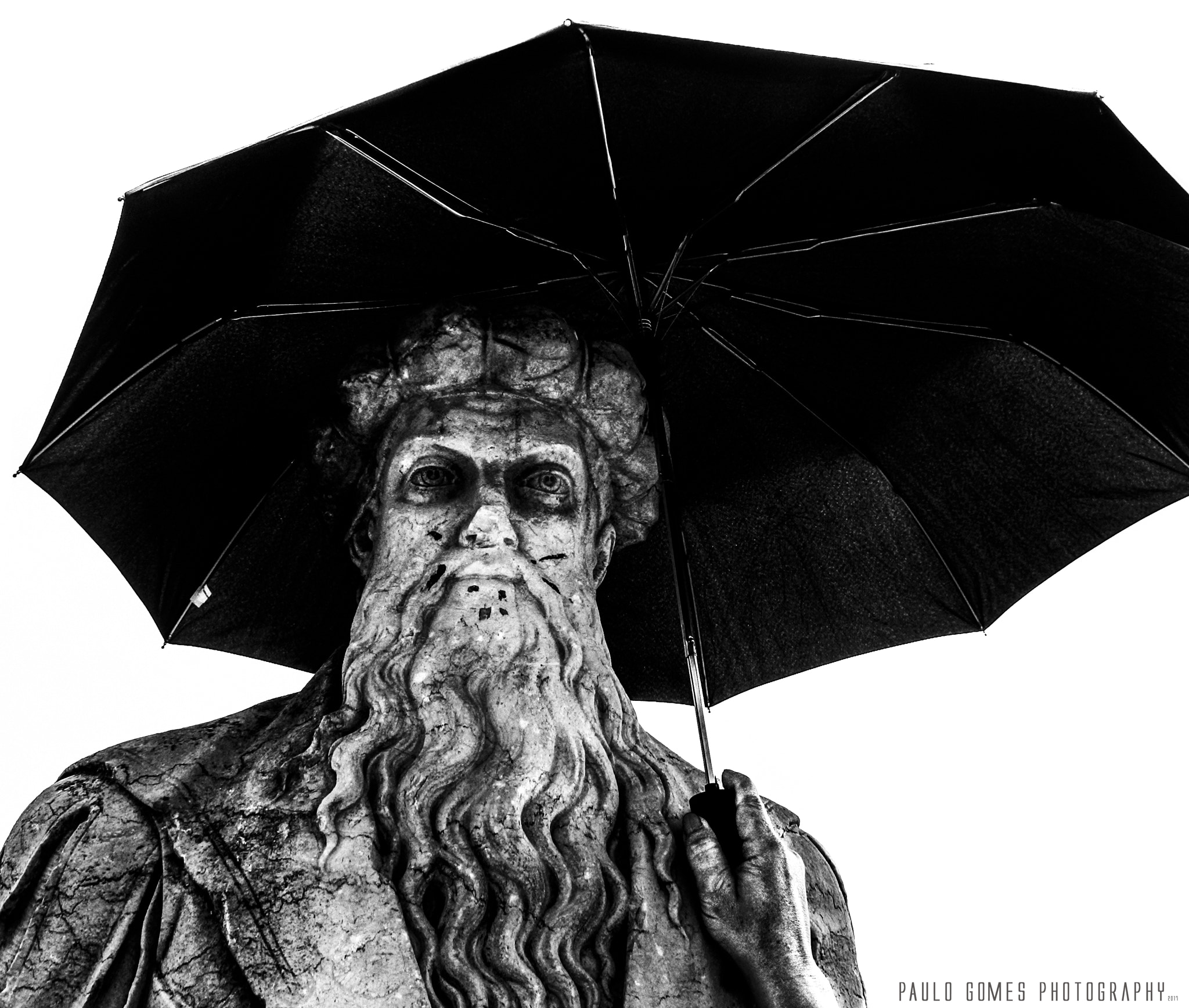 Nikon 1 J5 sample photo. Rained? photography