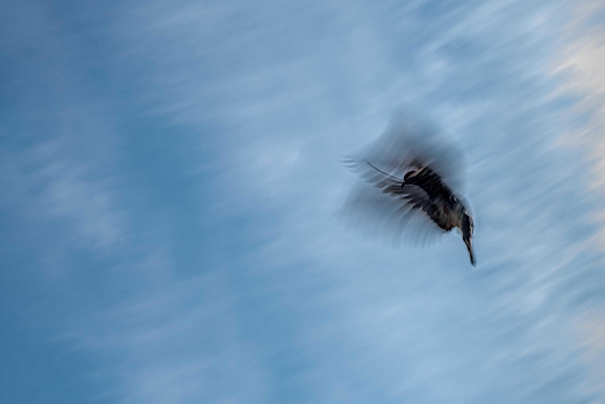 AF Zoom-Nikkor 28-105mm f/3.5-4.5D IF sample photo. St photography
