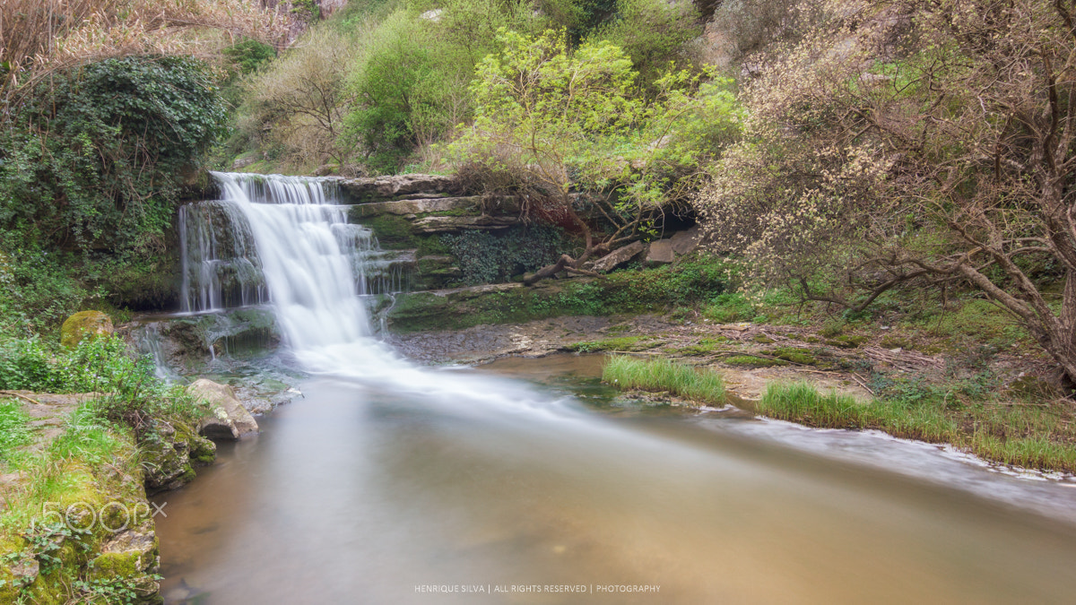 Tokina AT-X Pro 12-24mm F4 (IF) DX sample photo. Mourão river photography