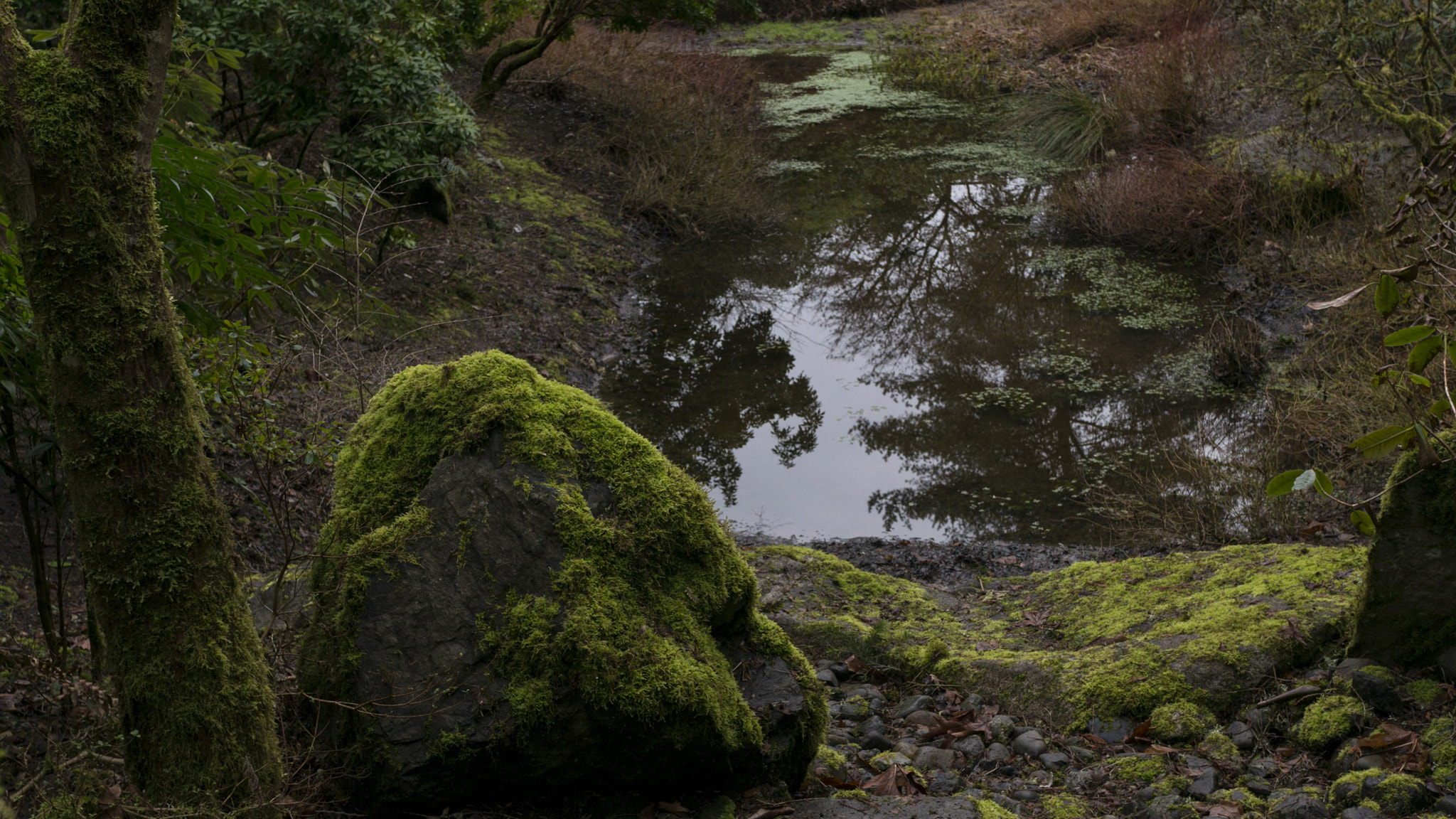 Sony Alpha NEX-6 sample photo. Spring - 1st day of daylight saving time photography