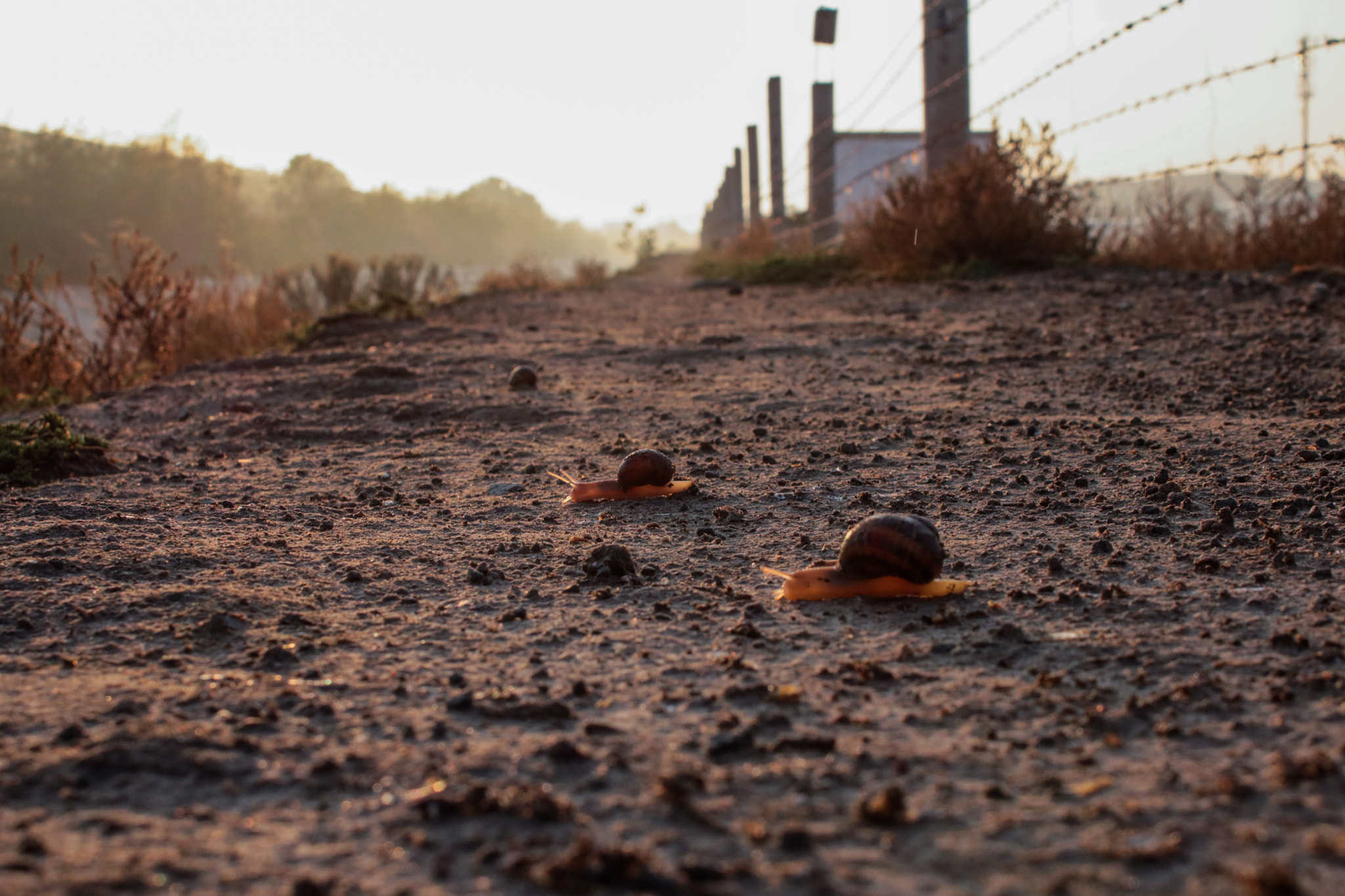 Canon EOS 750D (EOS Rebel T6i / EOS Kiss X8i) sample photo. Luchando photography