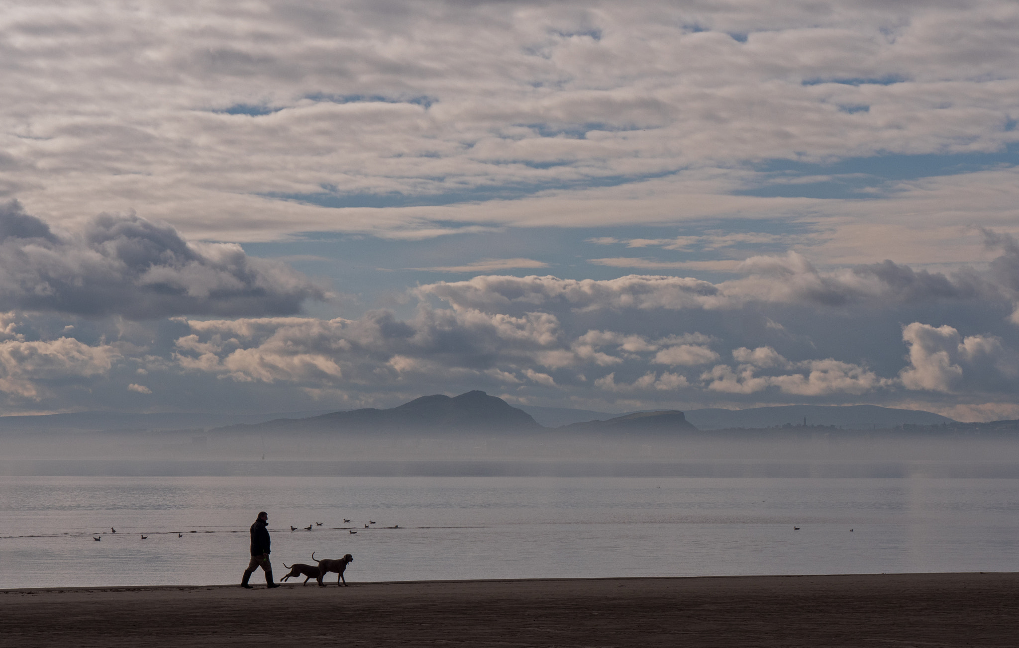 Panasonic Lumix DMC-GX8 sample photo. The walker and two dogs photography