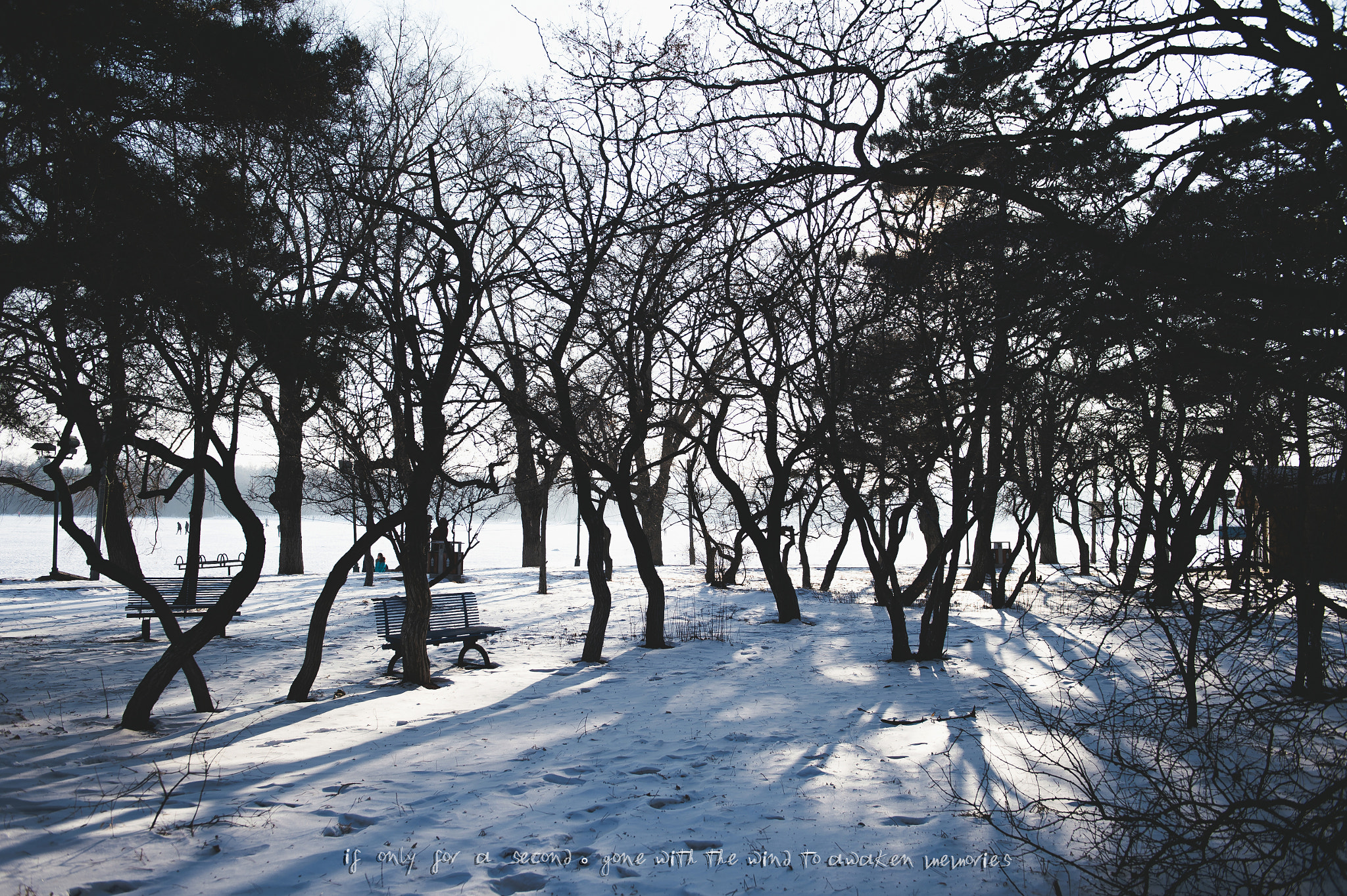 Nikon D4S sample photo. Openhearted photography