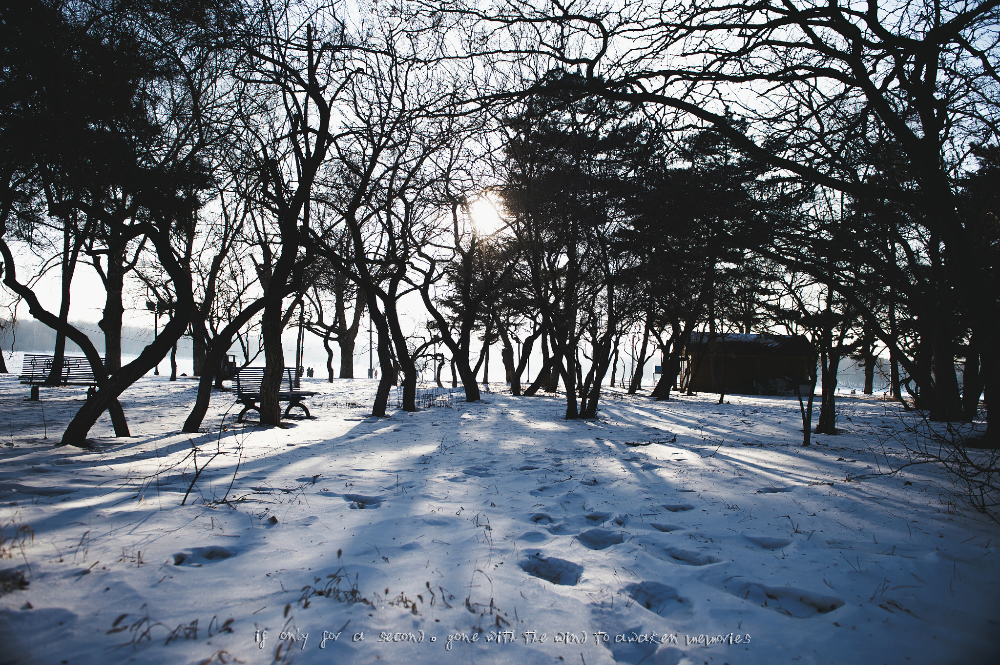 Nikon D4S sample photo. Openhearted photography