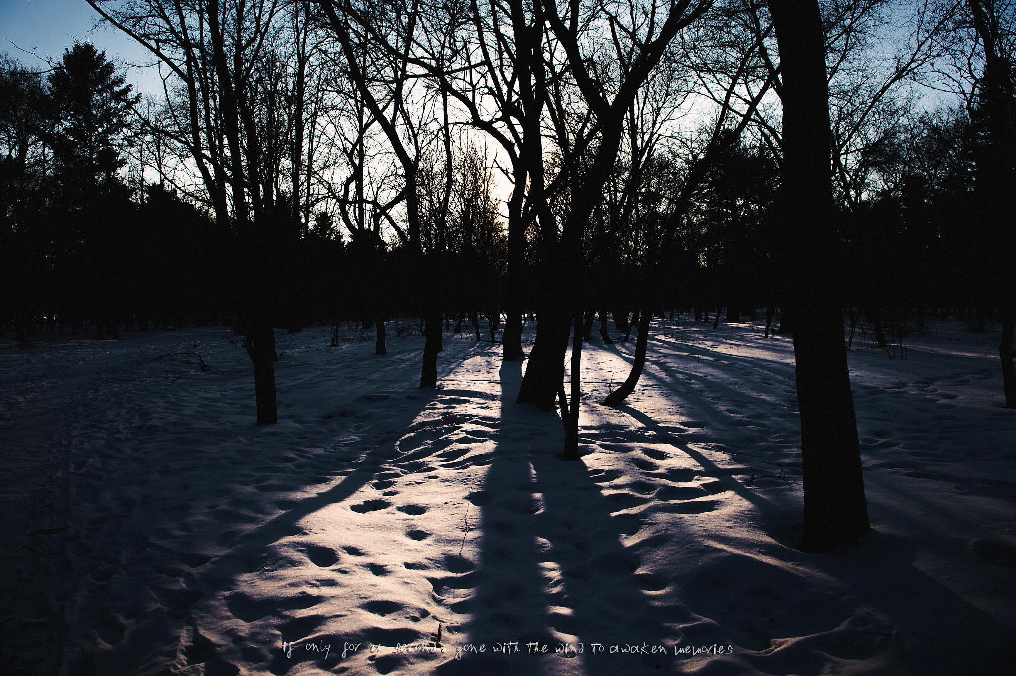 Nikon D4S sample photo. Openhearted photography