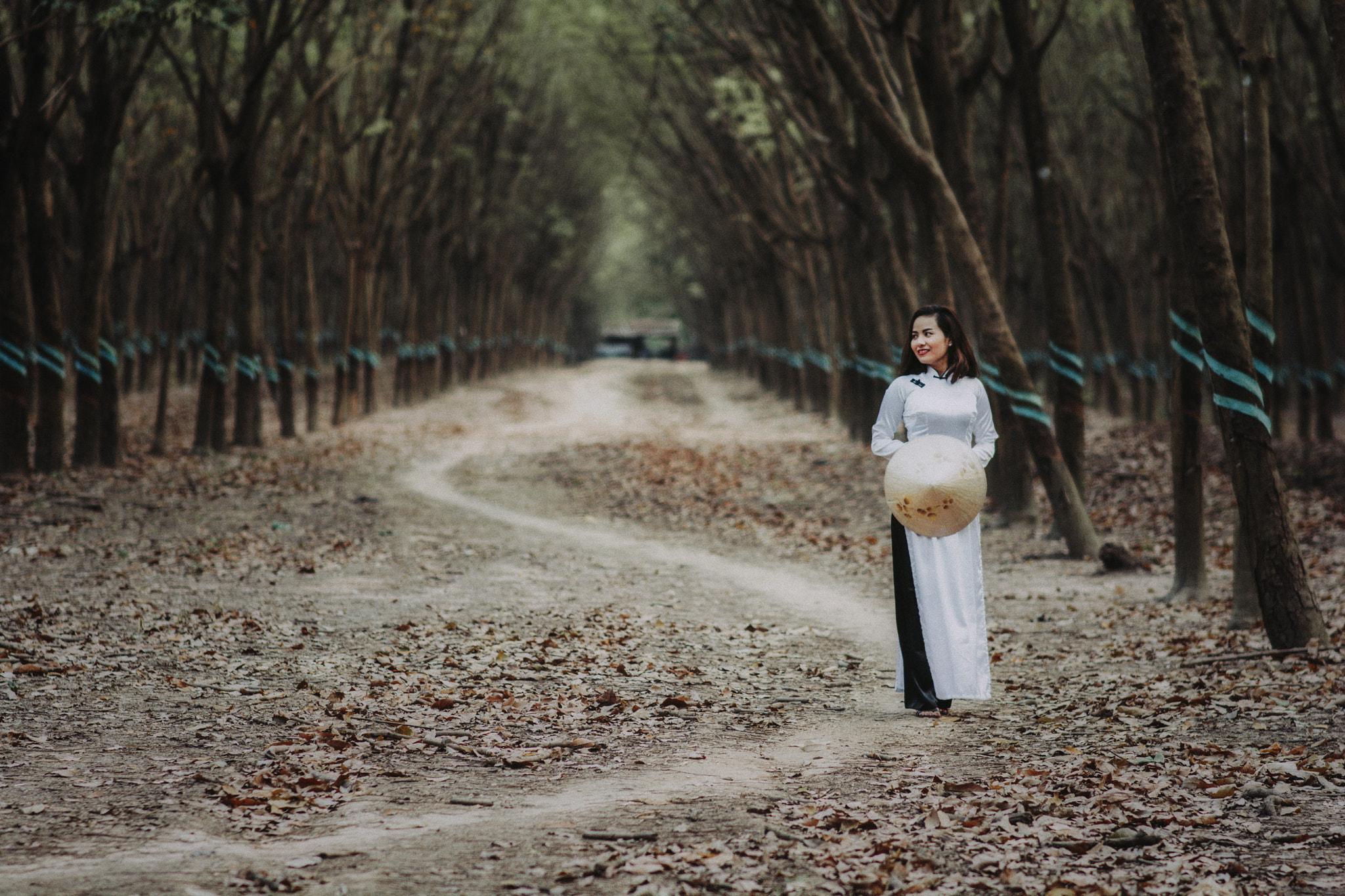 Sigma 85mm F1.4 EX DG HSM sample photo. Rob photography