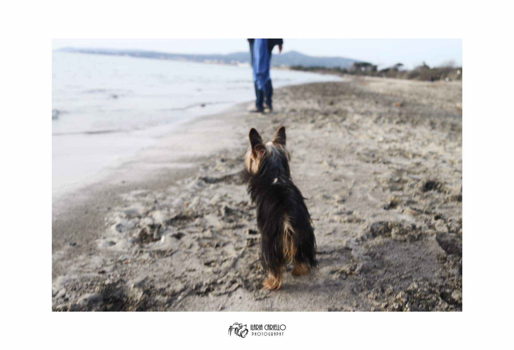 Canon EF-S 24mm F2.8 STM sample photo. Wolkin' on the seaside photography
