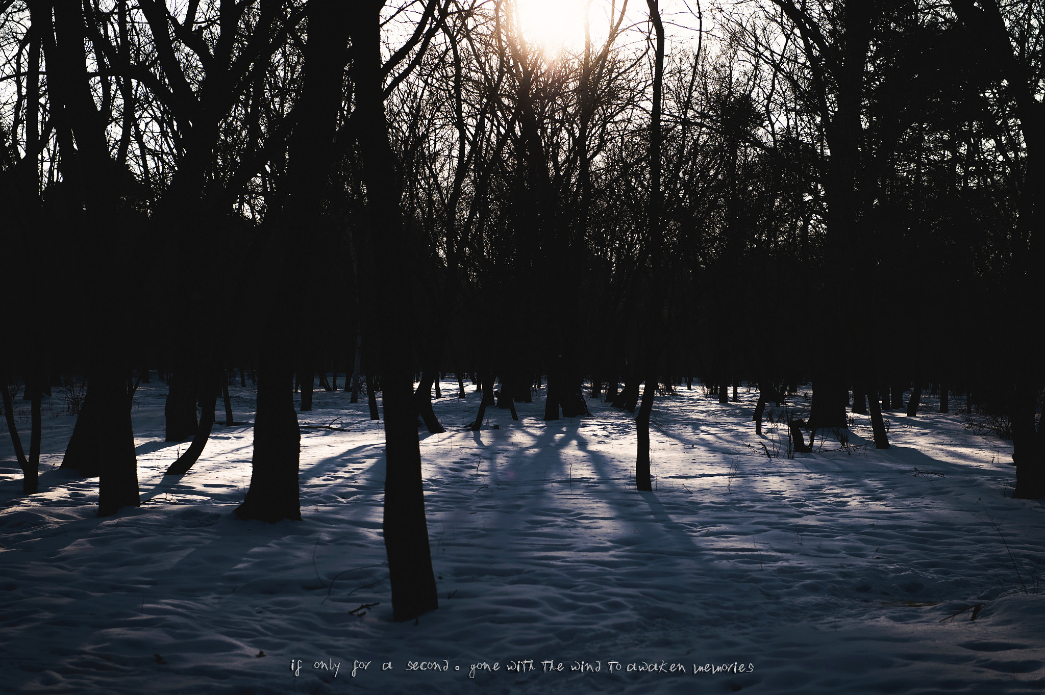 Nikon D4S sample photo. Openhearted photography