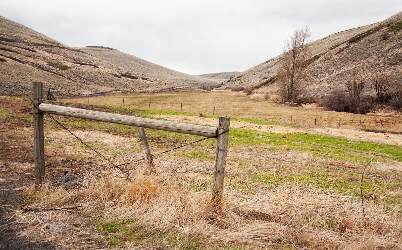 Nikon D700 sample photo. Oregon country photography