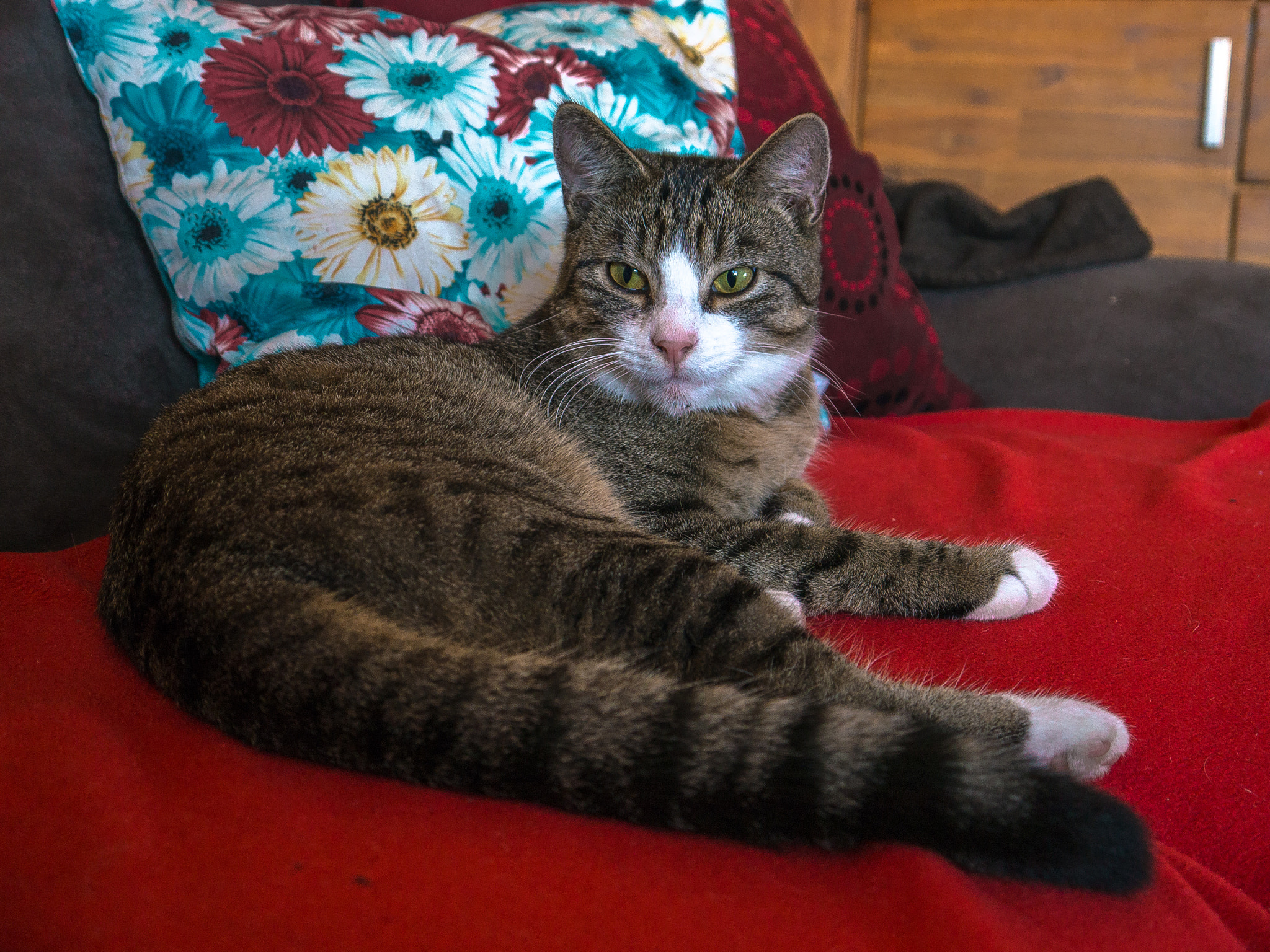 Panasonic Lumix DMC-G5 sample photo. Was willst du? / what do you want? photography
