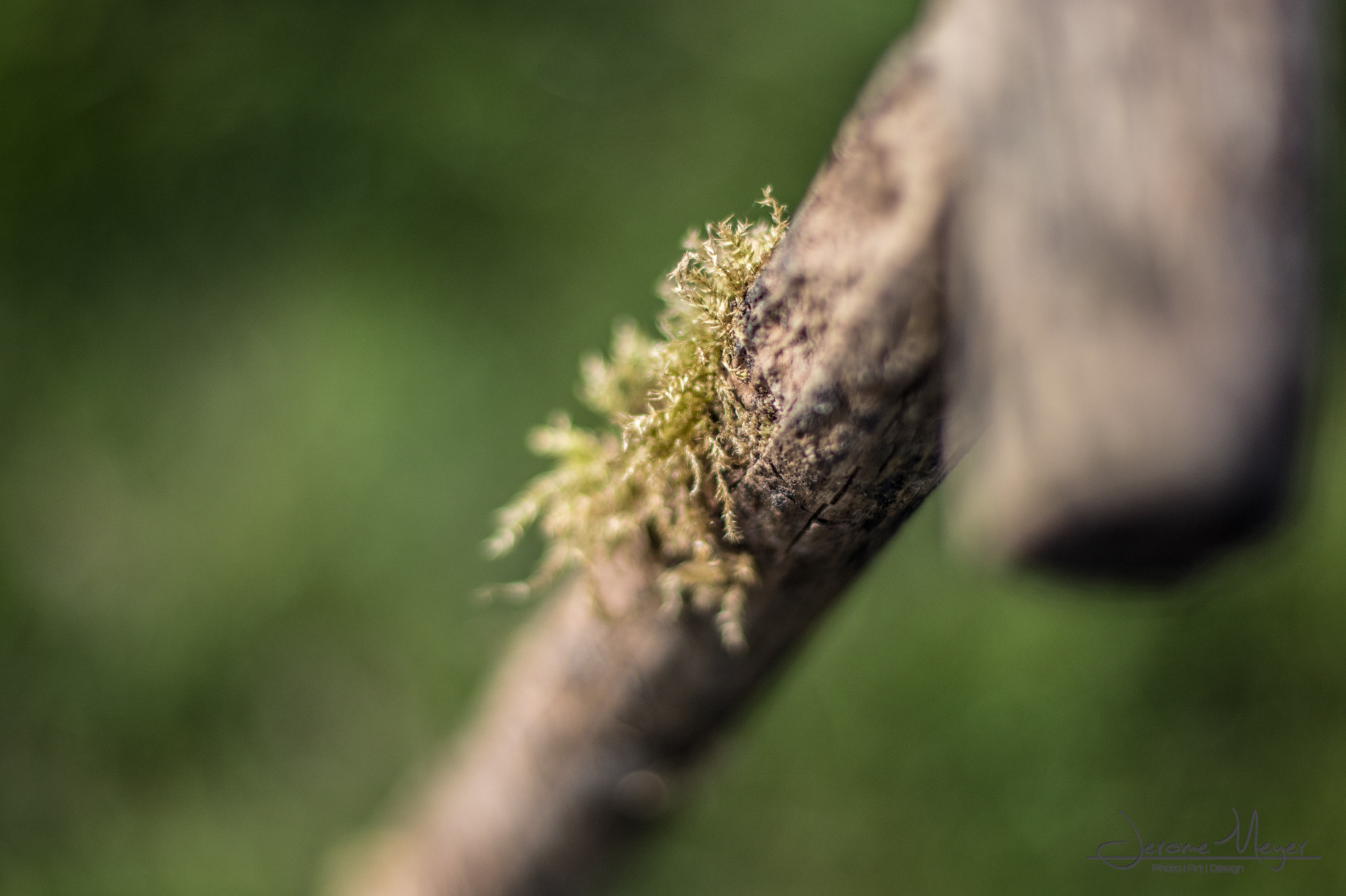 Canon EOS 80D + Canon EF 50mm F1.4 USM sample photo. Old... photography