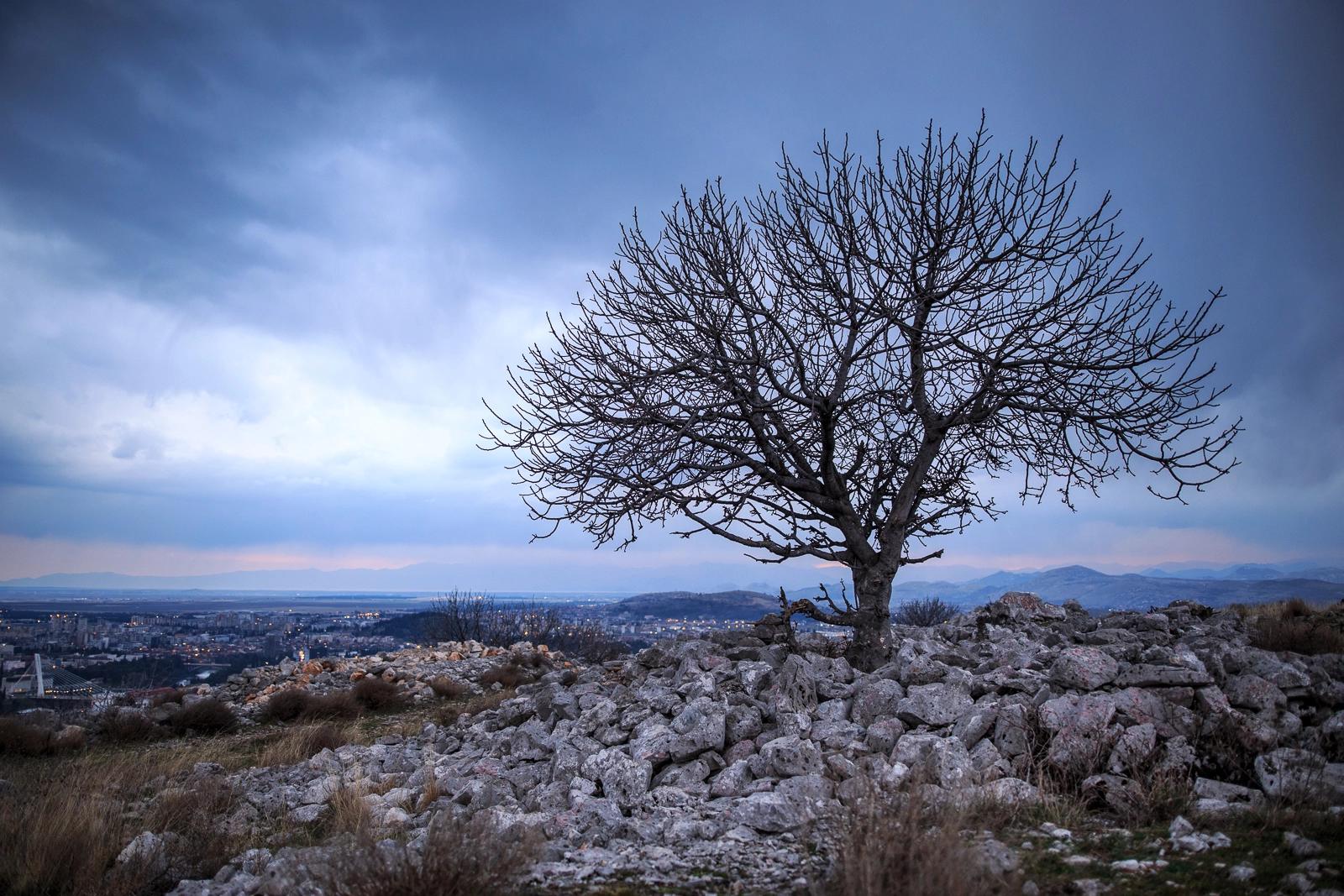 Sigma 24-35mm F2 DG HSM Art sample photo. Before the rain photography