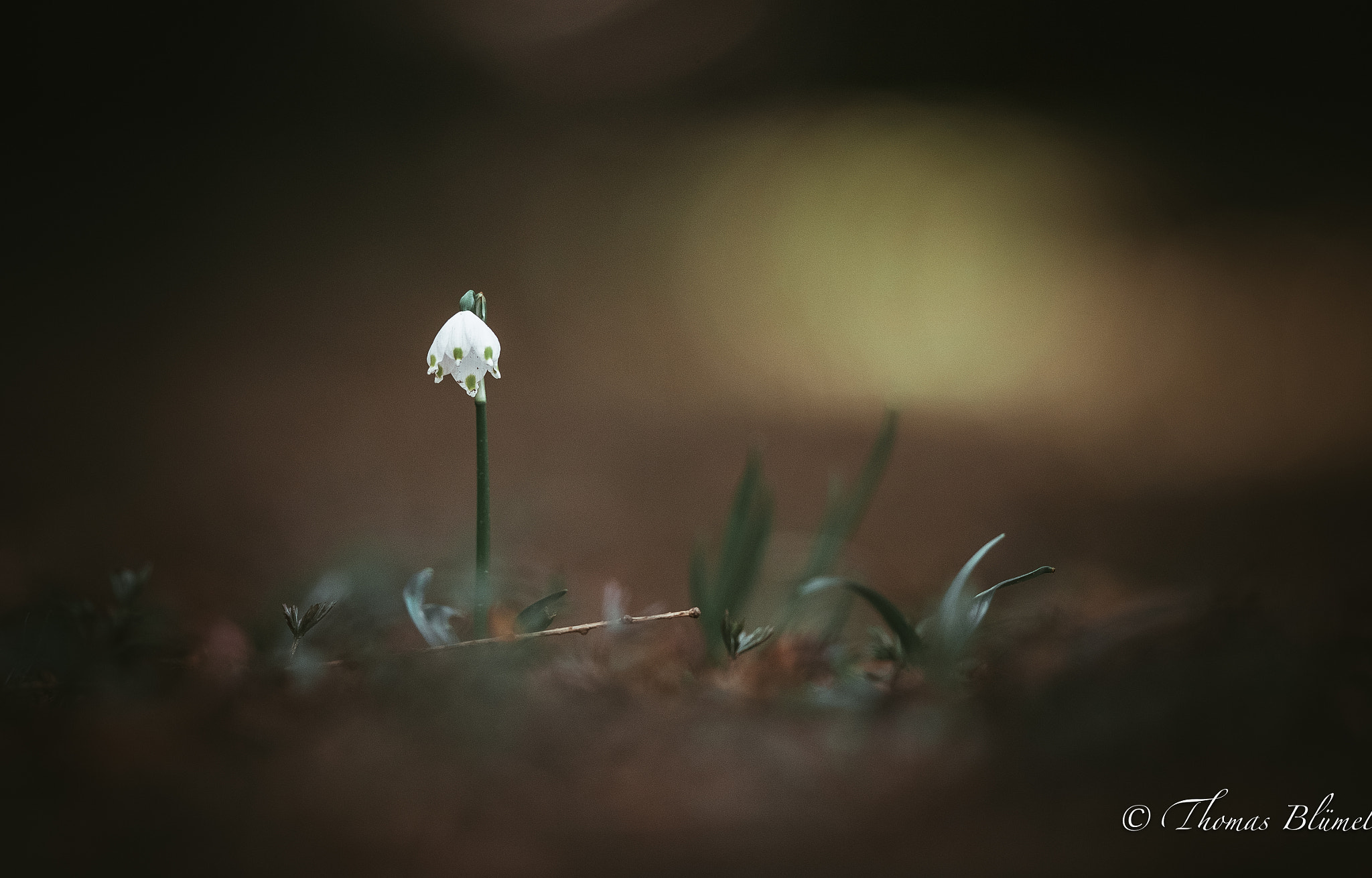 Canon EF 300mm F2.8L IS II USM sample photo. Nice photography