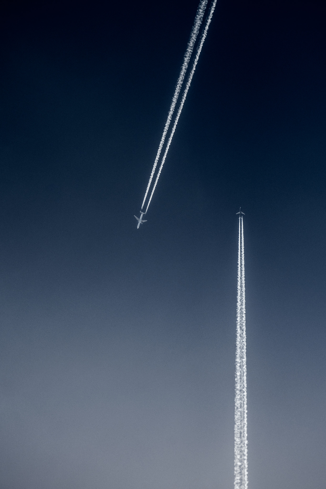 Nikon D500 sample photo. Droit devant photography
