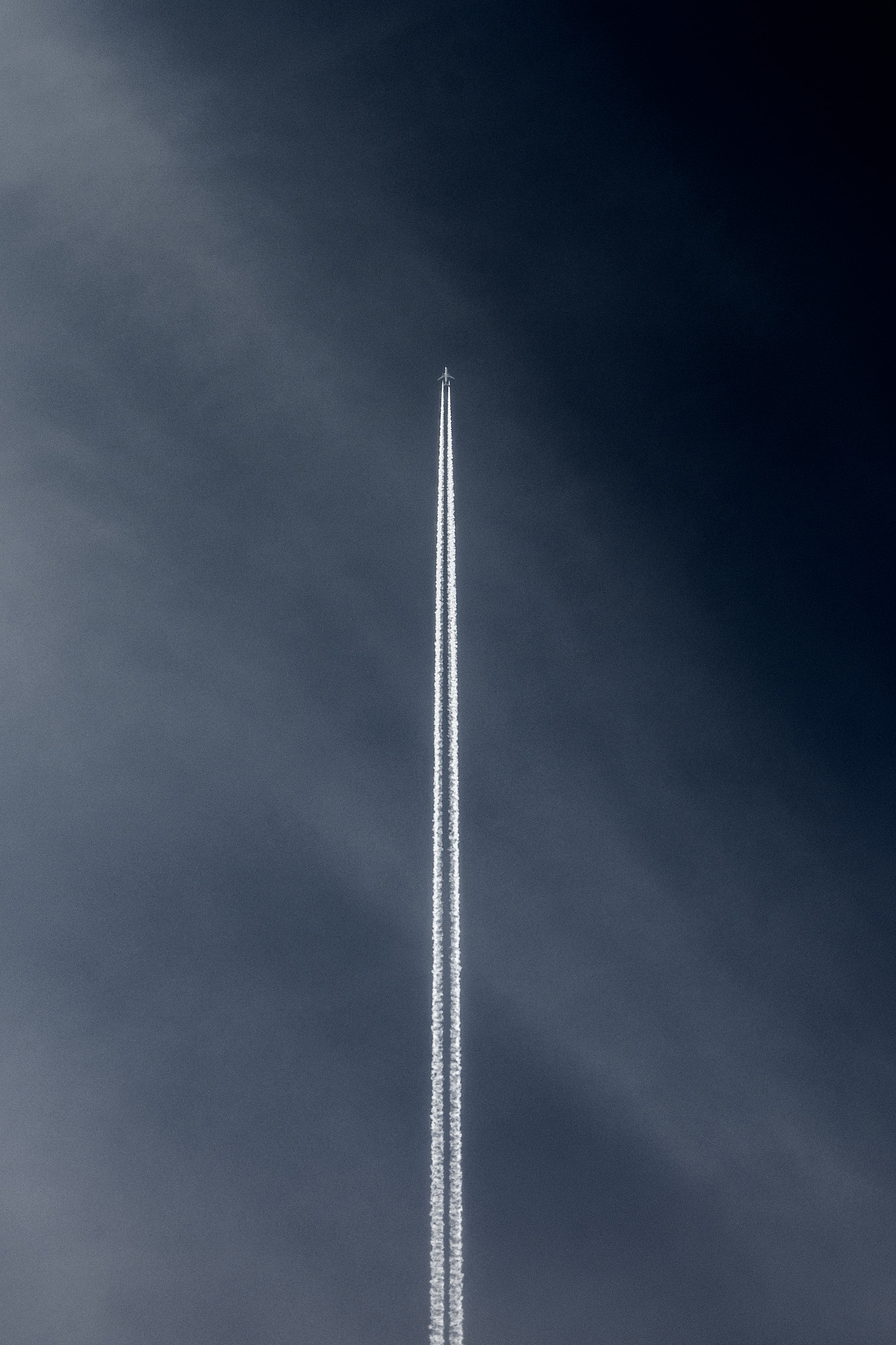 Nikon D500 sample photo. Droit devant photography