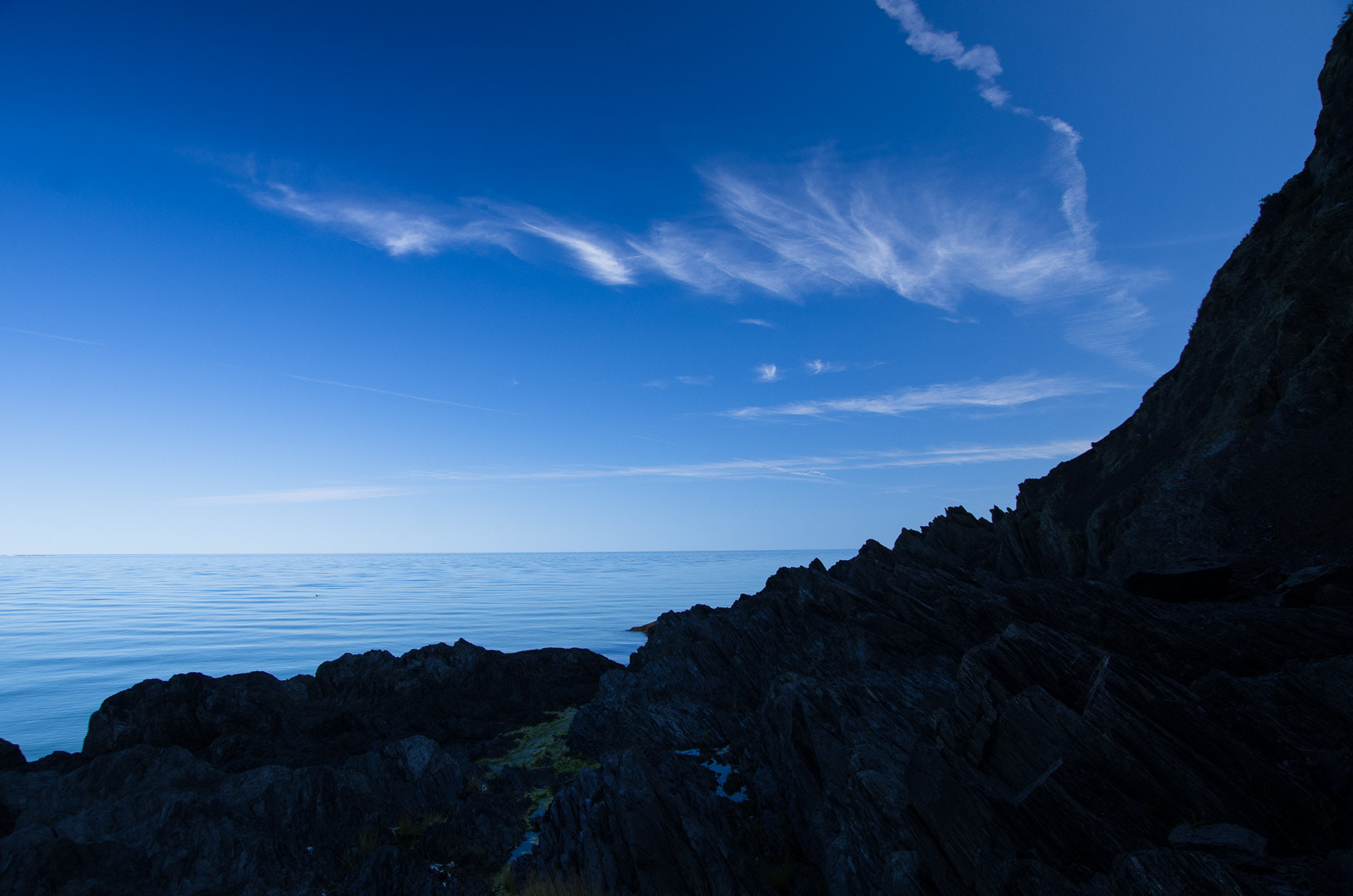 Pentax K-5 sample photo. Black & blue photography