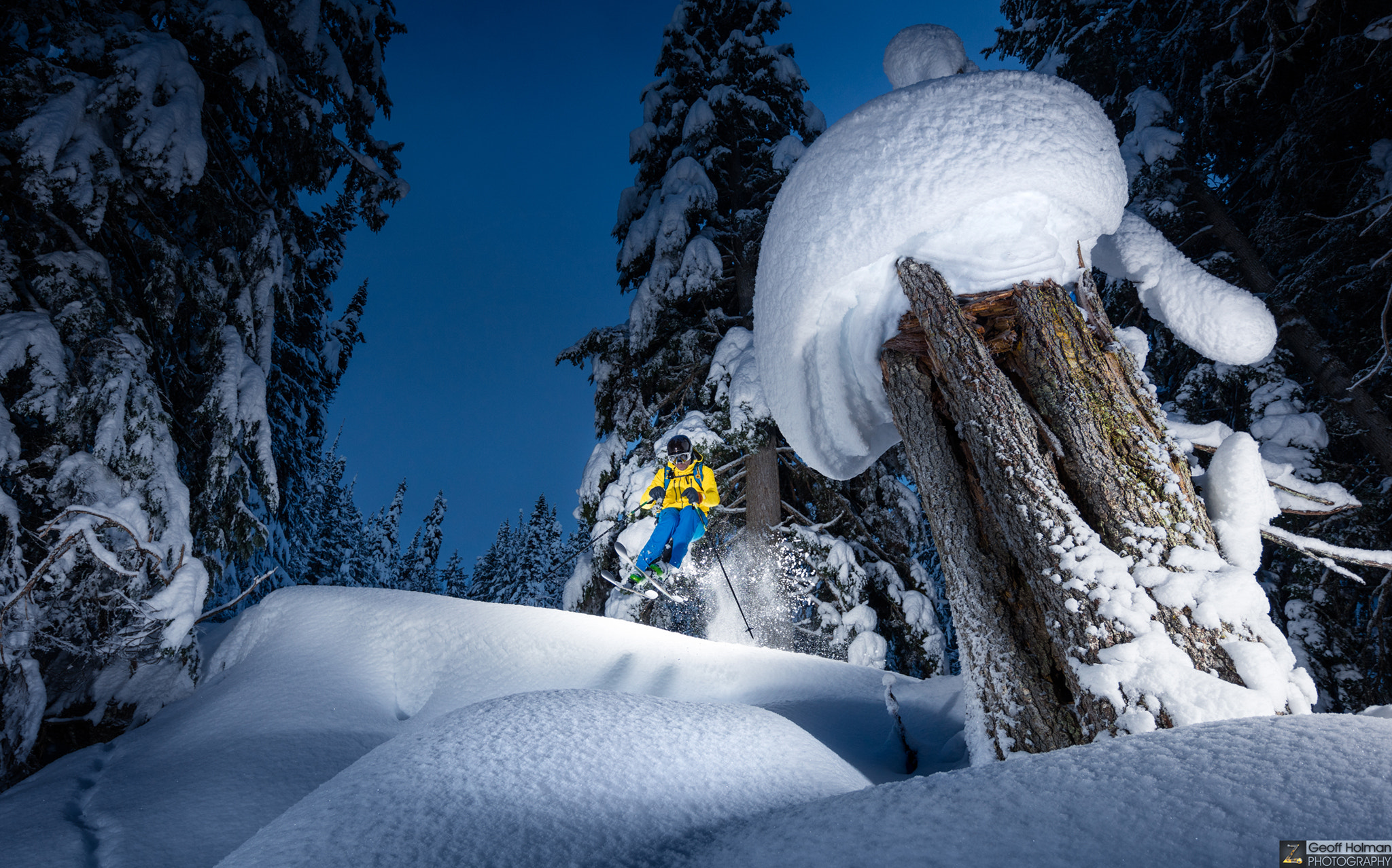 Canon EOS 5DS R + Canon EF 11-24mm F4L USM sample photo. King mushroom photography