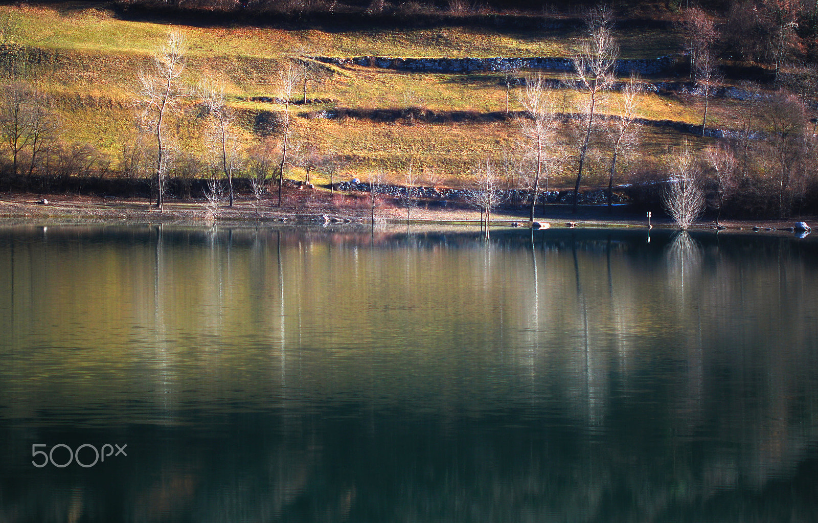 Canon EF 100mm F2.8 Macro USM sample photo. Lago di tenno, italy photography