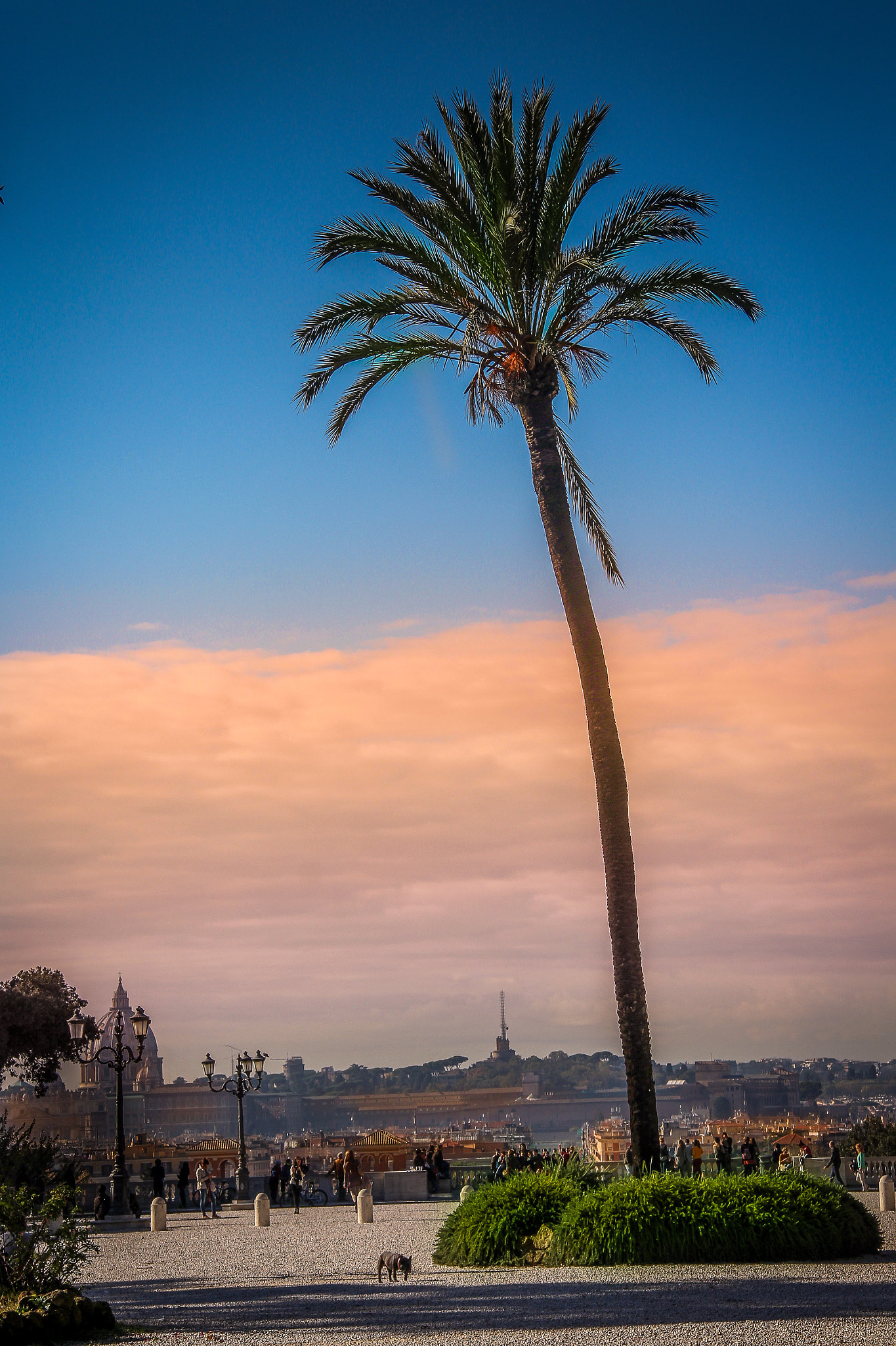 Canon EF-S 17-85mm F4-5.6 IS USM sample photo. View from villa de borghese rome photography