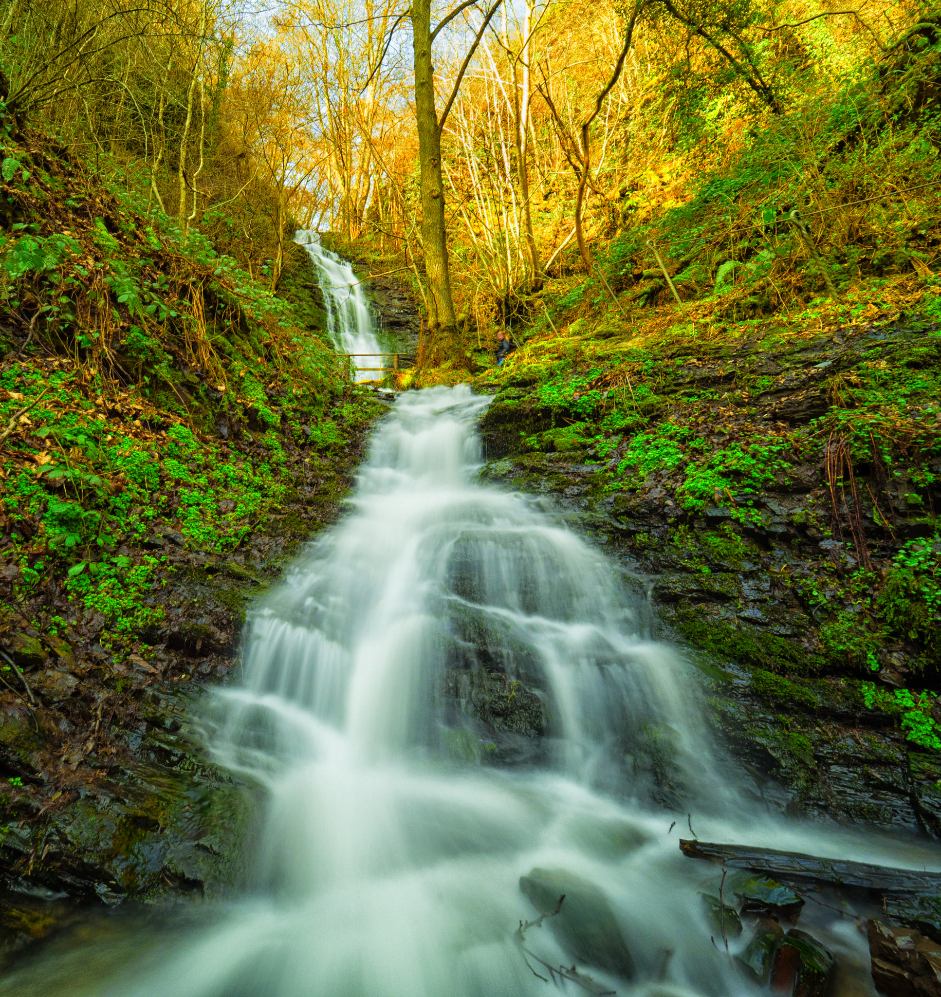 Olympus OM-D E-M5 II + Olympus M.Zuiko Digital ED 7-14mm F2.8 PRO sample photo. Dortebachtal klotten mosel / germany photography