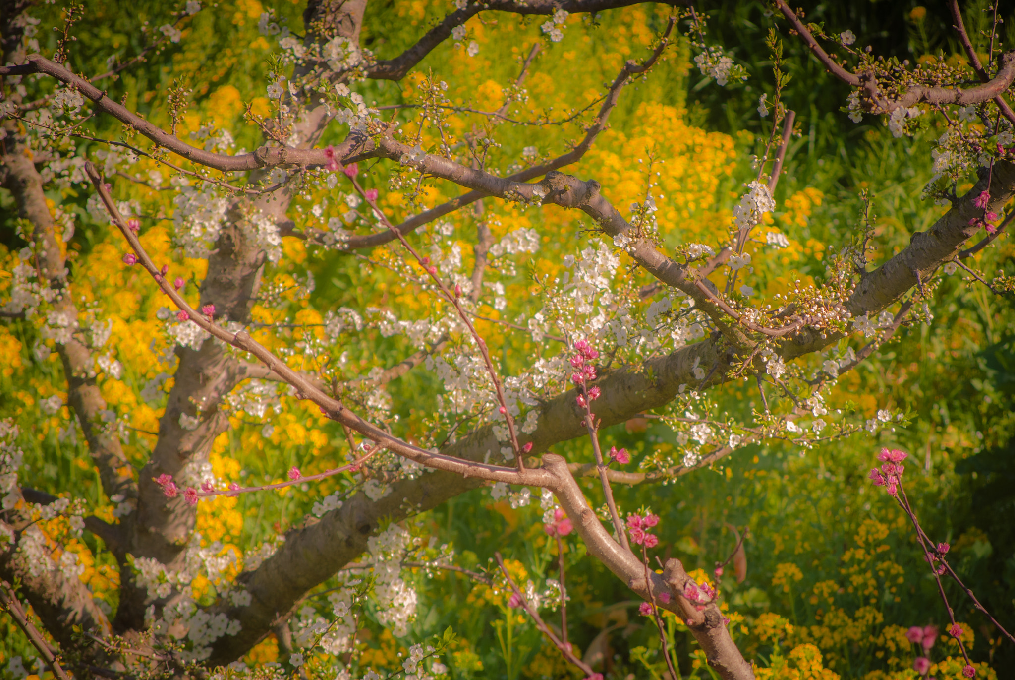 Nikon D40X sample photo. Finally! photography