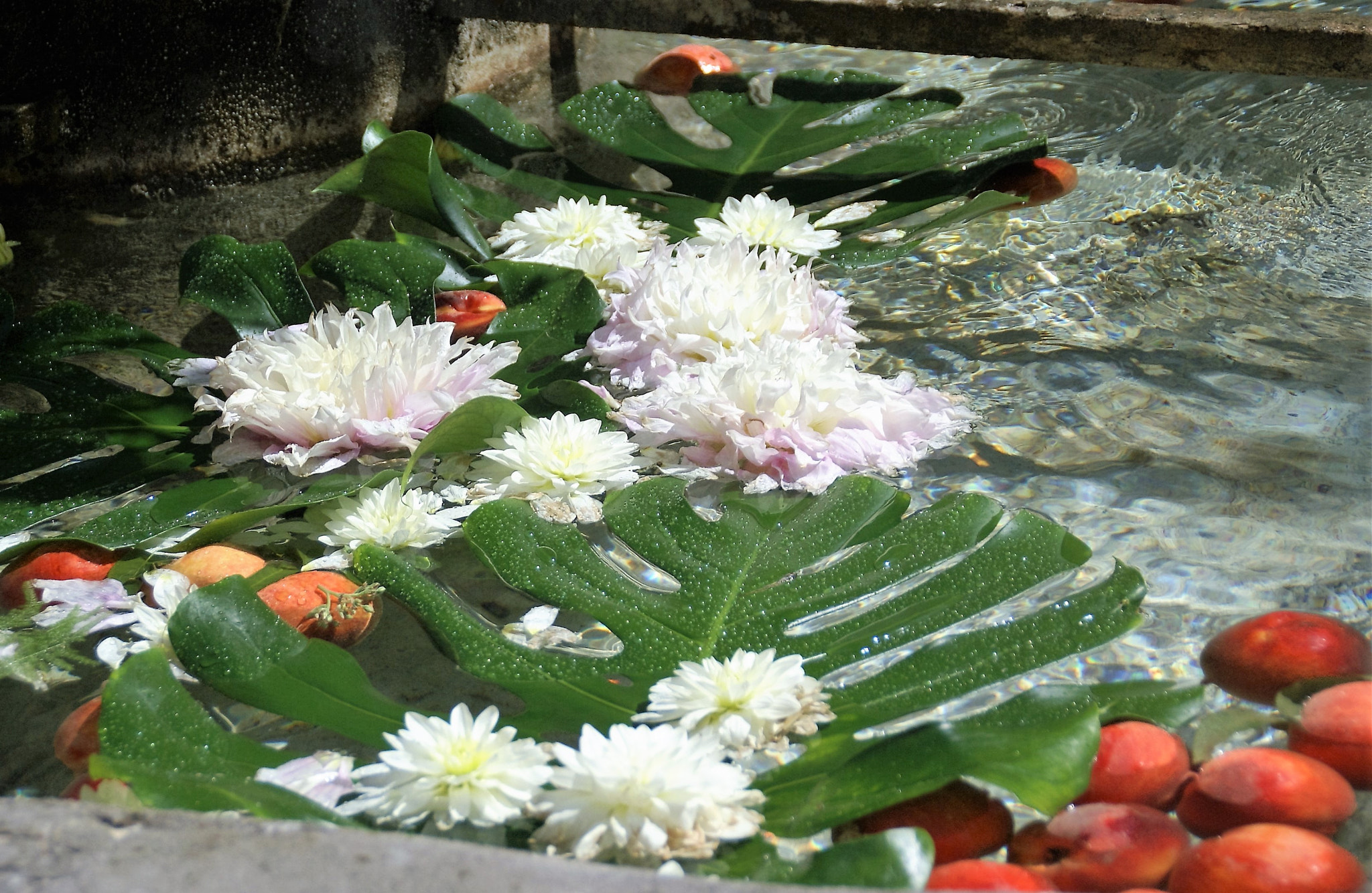 Sony DT 18-200mm F3.5-6.3 sample photo. Waterlessness photography