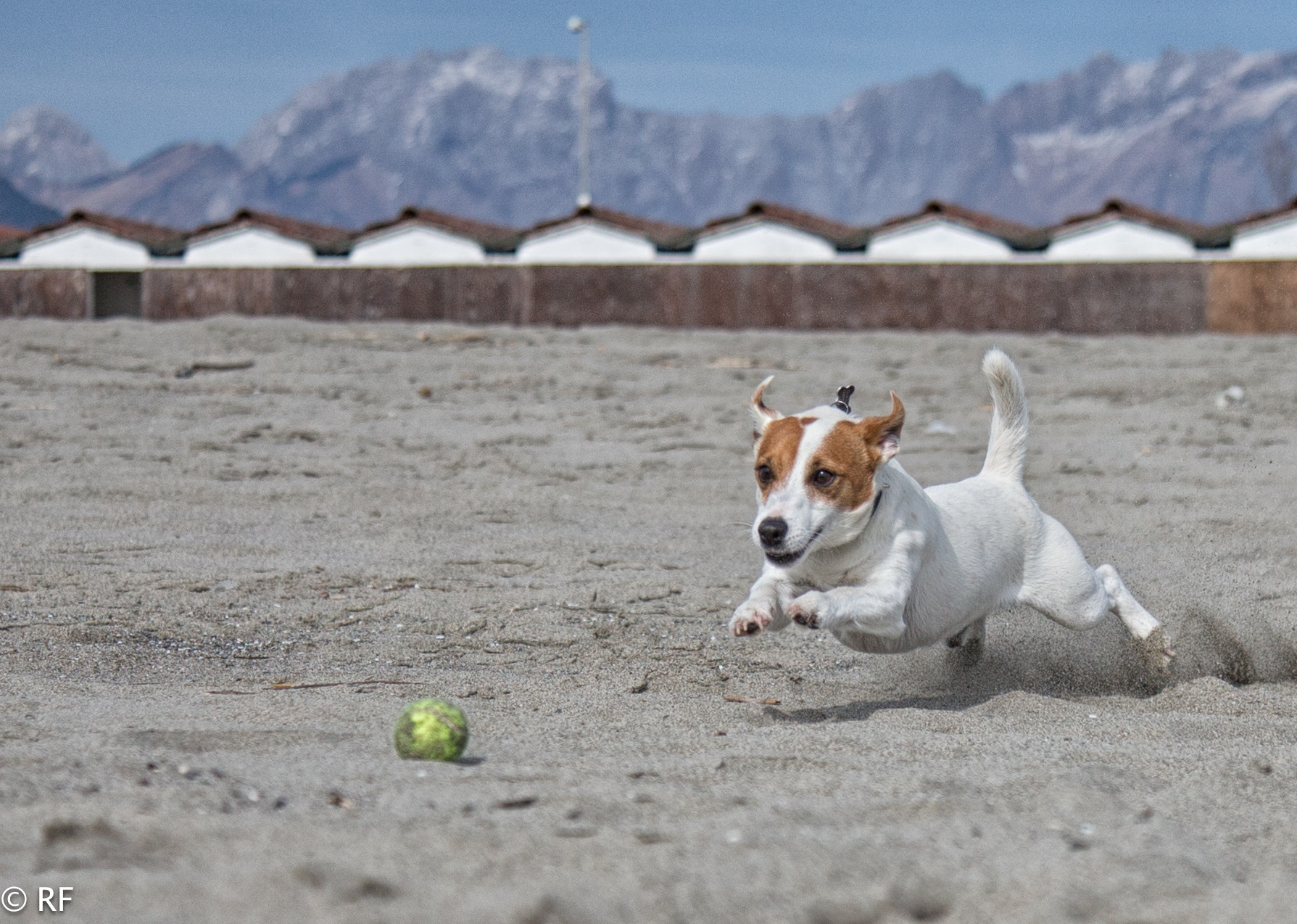 Canon EOS-1D X sample photo. Beach sport photography