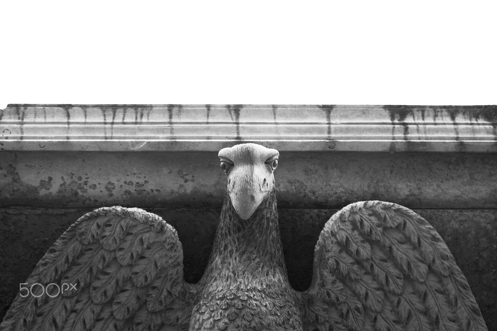 Canon EOS 600D (Rebel EOS T3i / EOS Kiss X5) + EF75-300mm f/4-5.6 sample photo. Black and white eagle photography