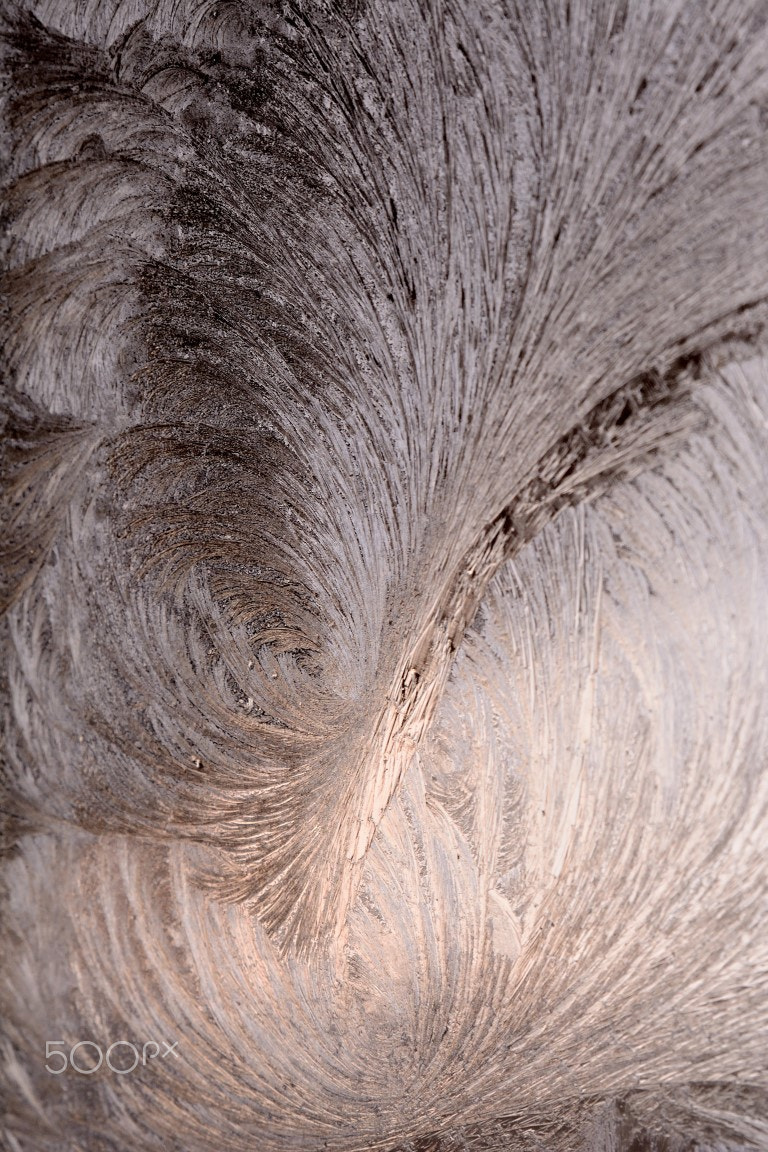 Nikon AF Nikkor 24-85mm F2.8-4D IF sample photo. Iceflower bis photography