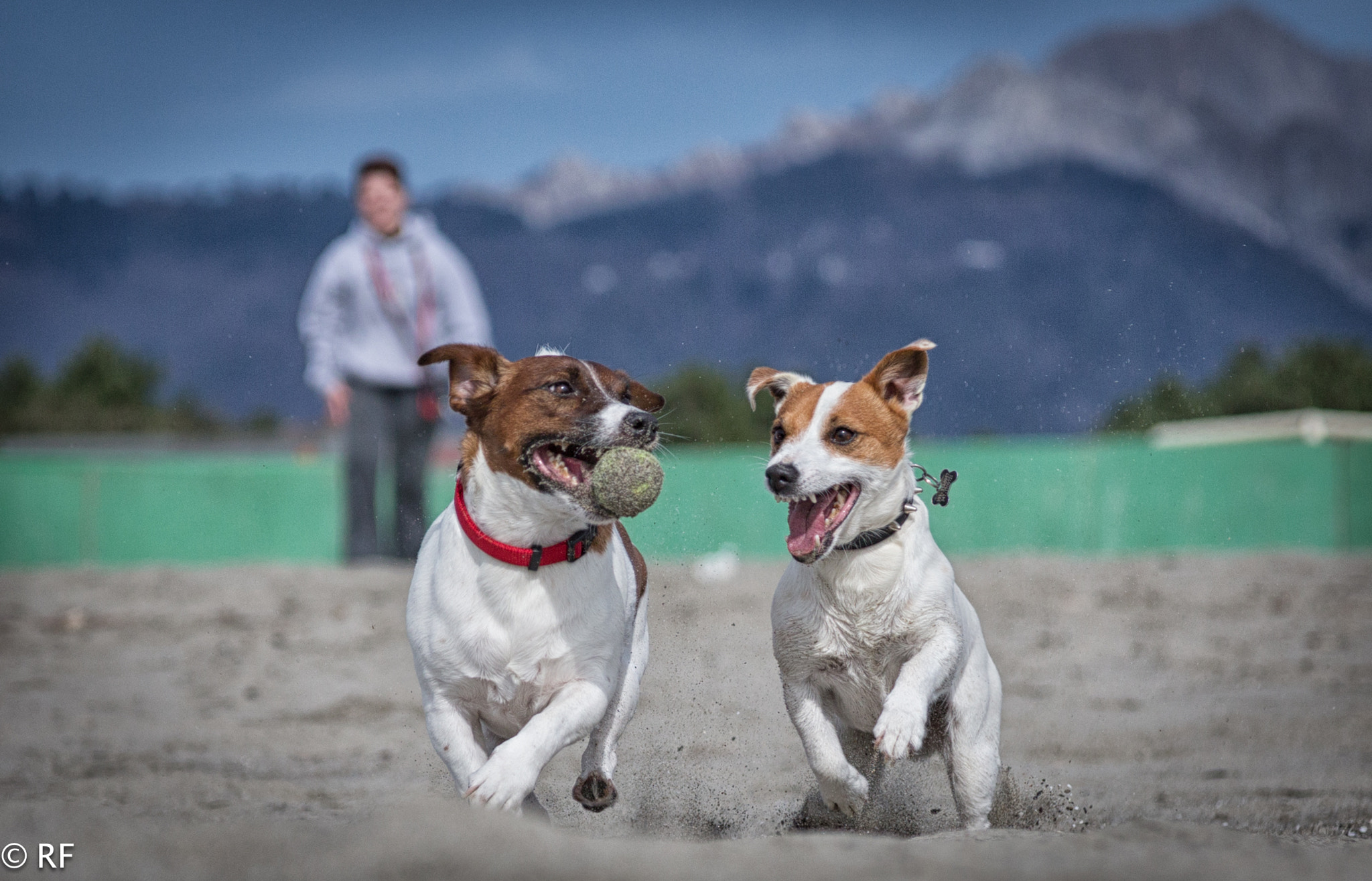 Canon EOS-1D X sample photo. Follow me photography