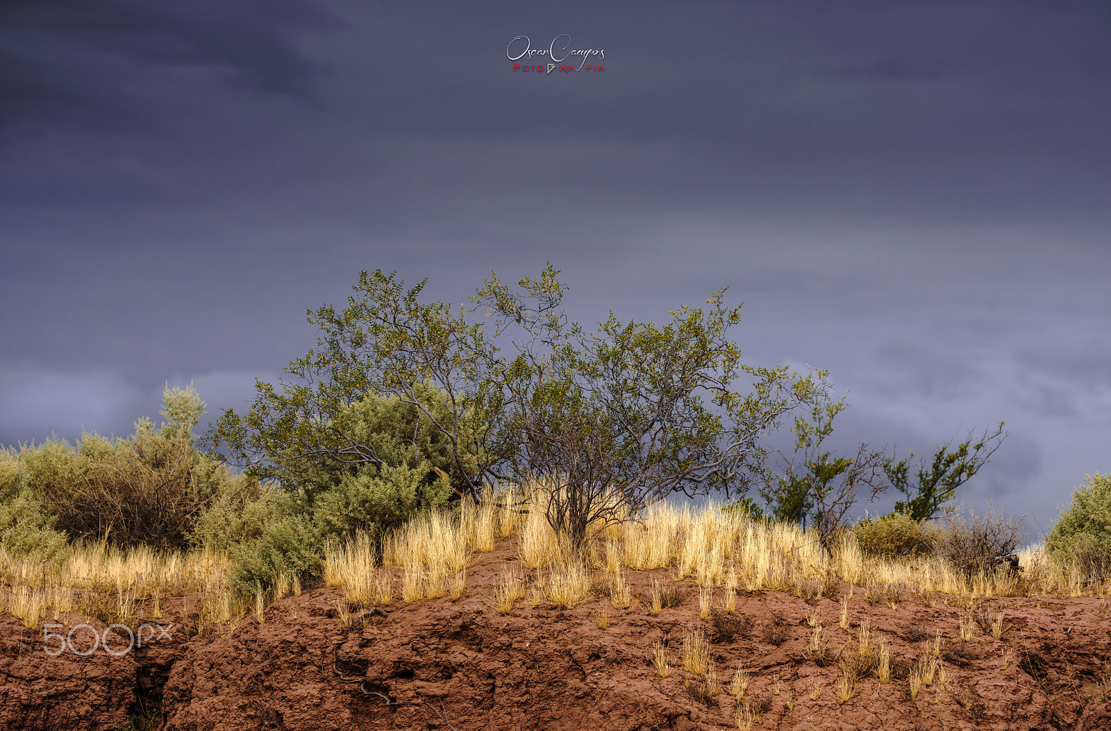 Nikon D810 sample photo. La sencillez de mi tierra photography