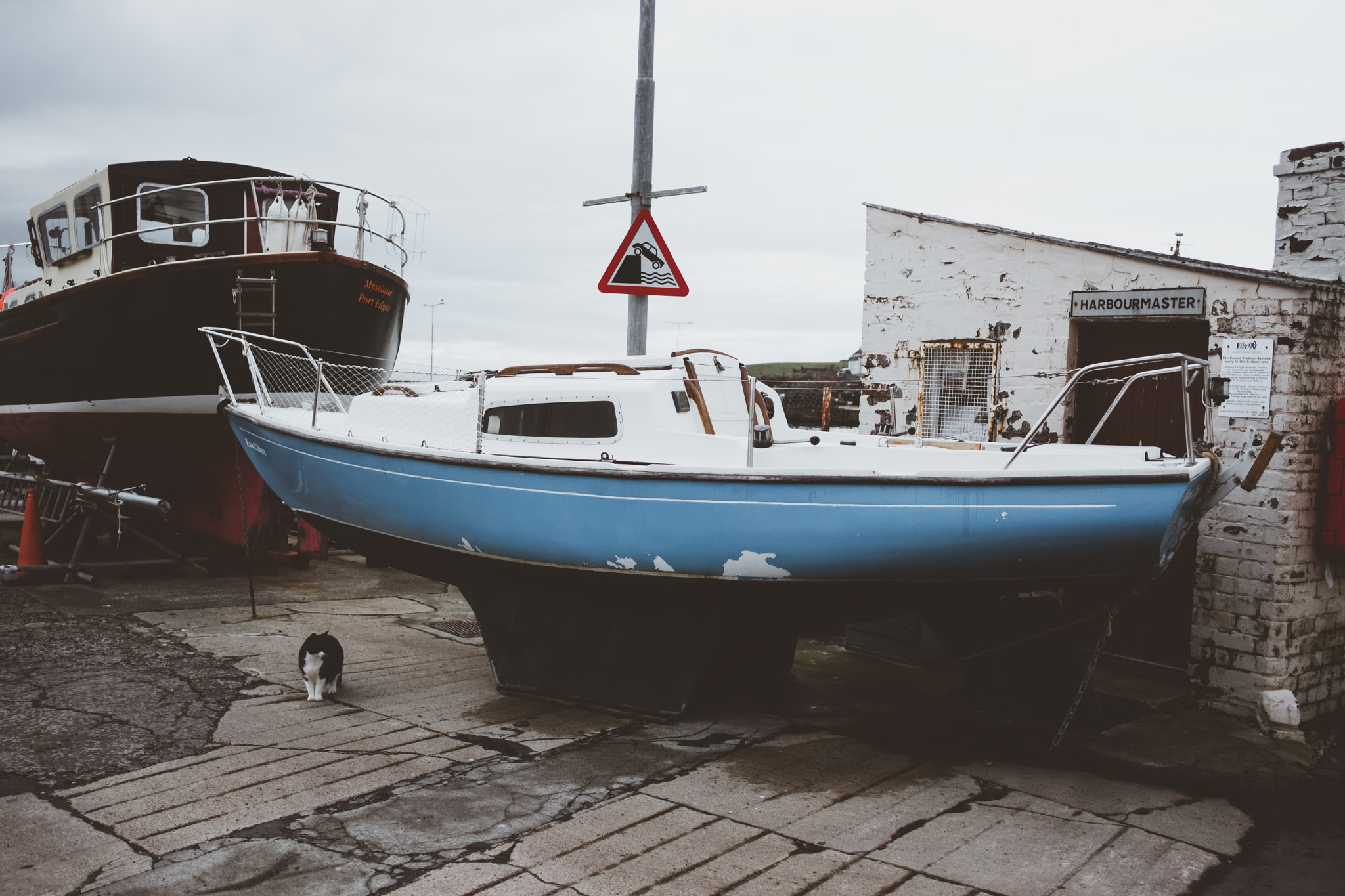 Fujifilm X-T2 + Fujifilm XF 23mm F2 R WR sample photo. Fishy. photography