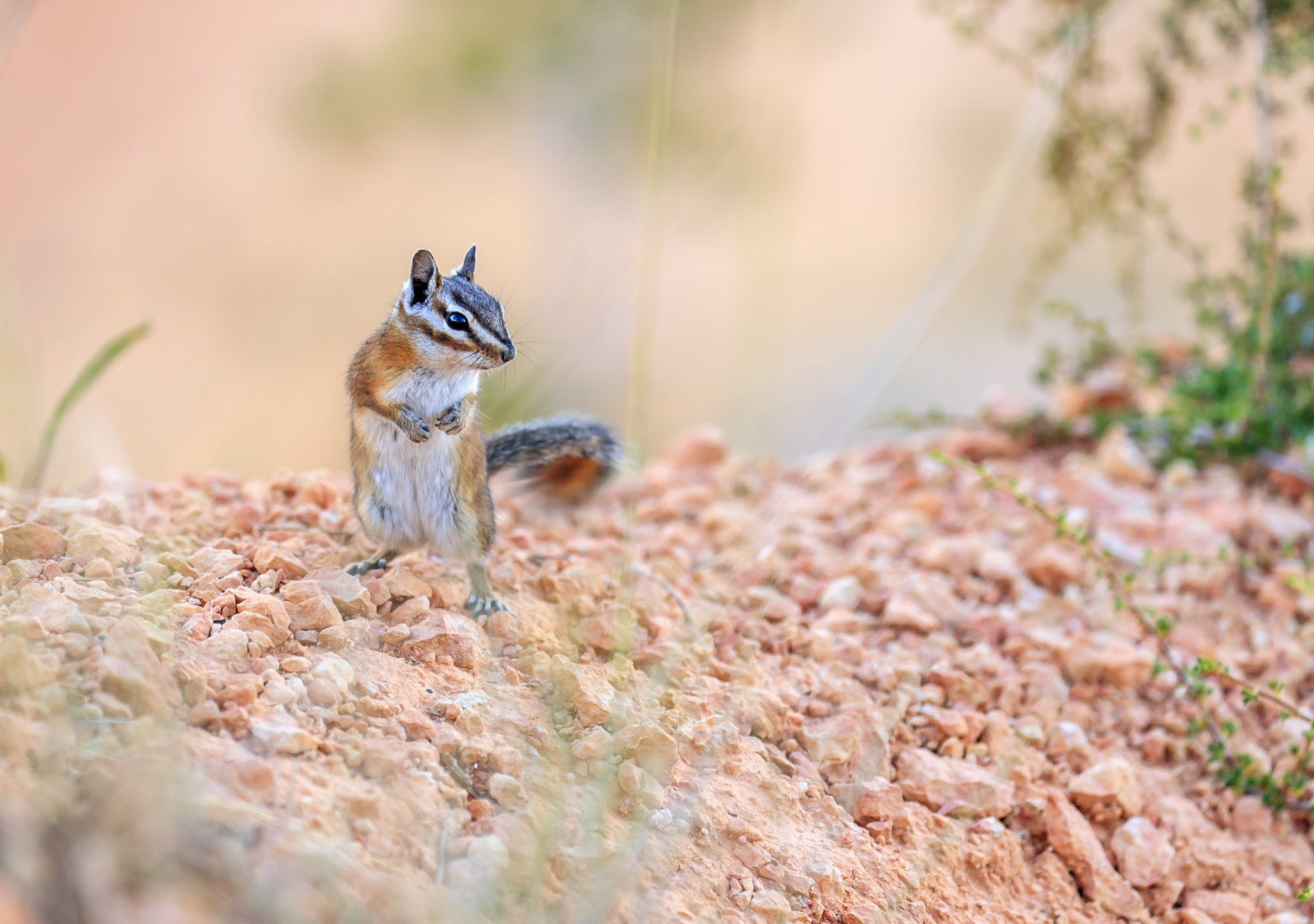 Canon EOS 5D sample photo. Don't be so shy photography