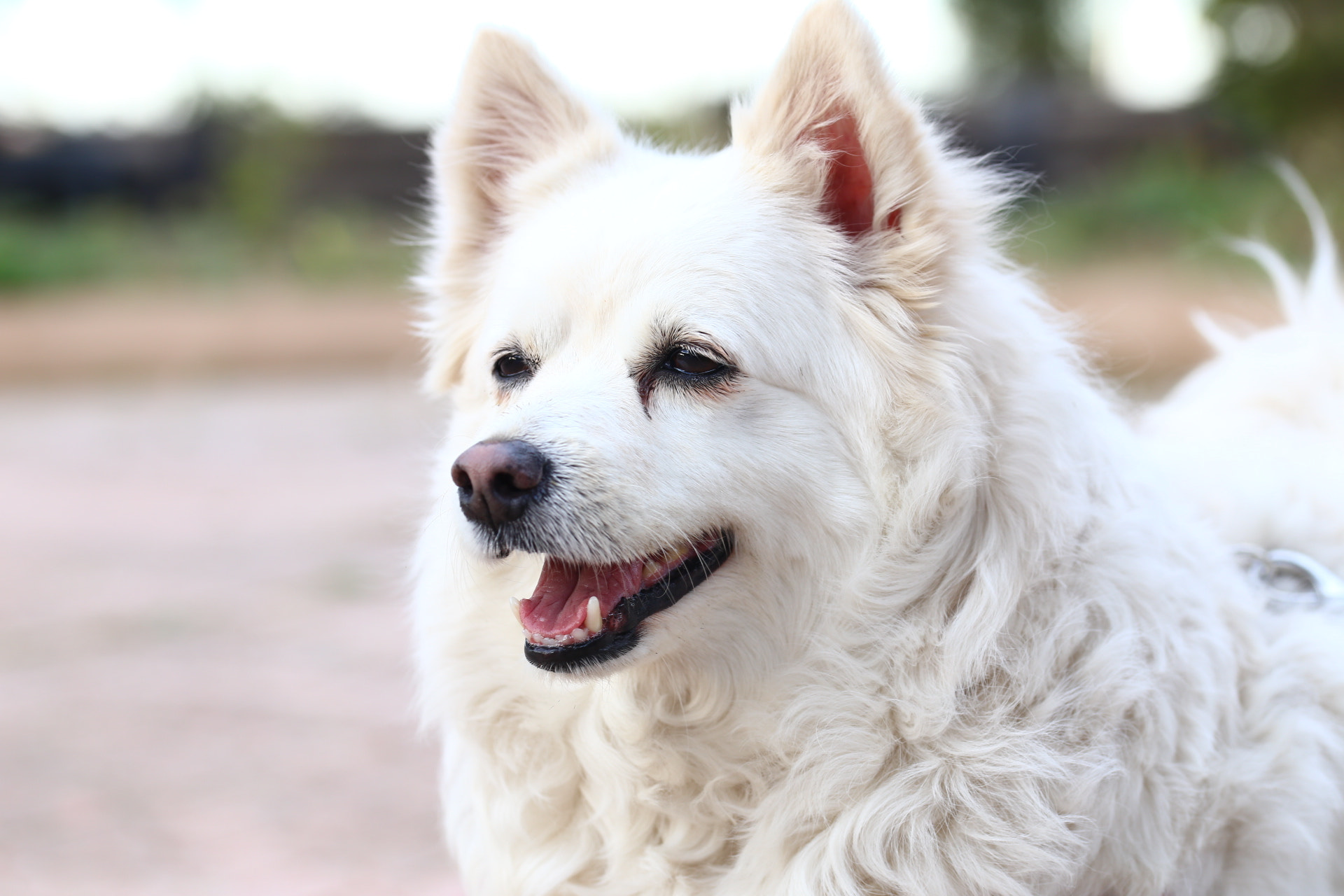 Sigma 105mm F2.8 EX DG OS HSM sample photo