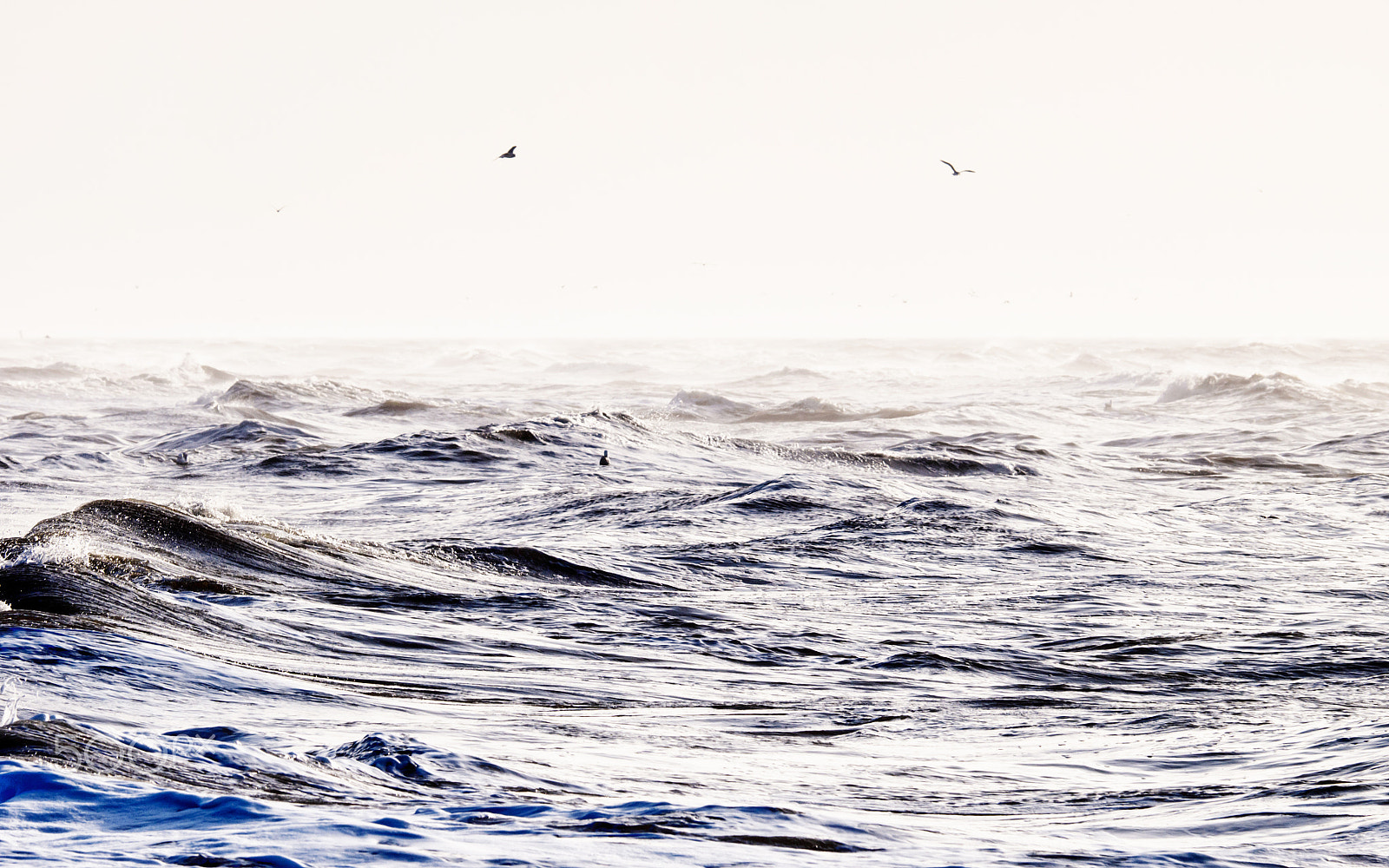 Olympus OM-D E-M1 sample photo. Waves photography
