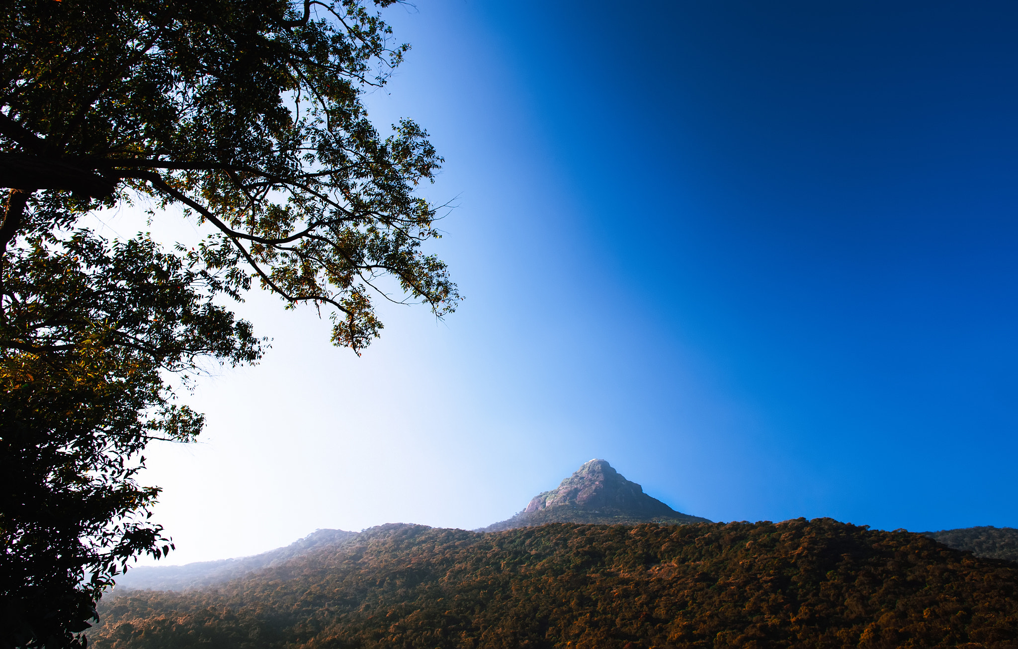 Canon EF 20mm F2.8 USM sample photo. Sri-pada view photography