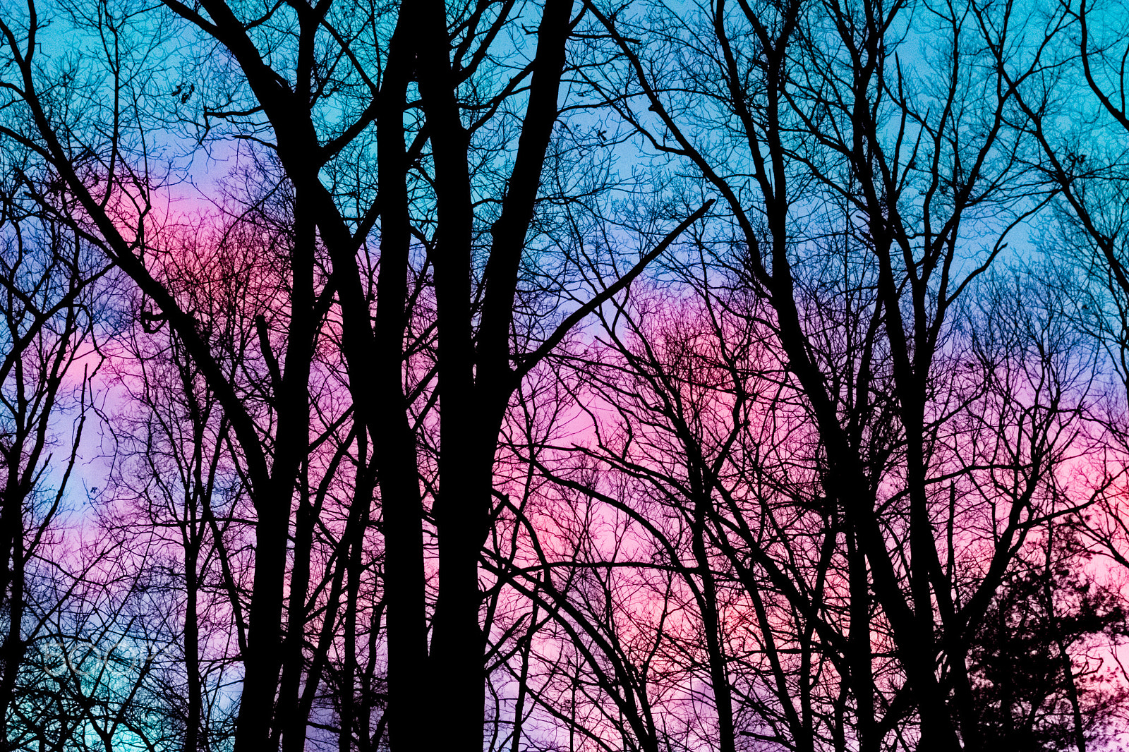 Canon EOS 70D + Canon EF 40mm F2.8 STM sample photo. Pretty sky photography