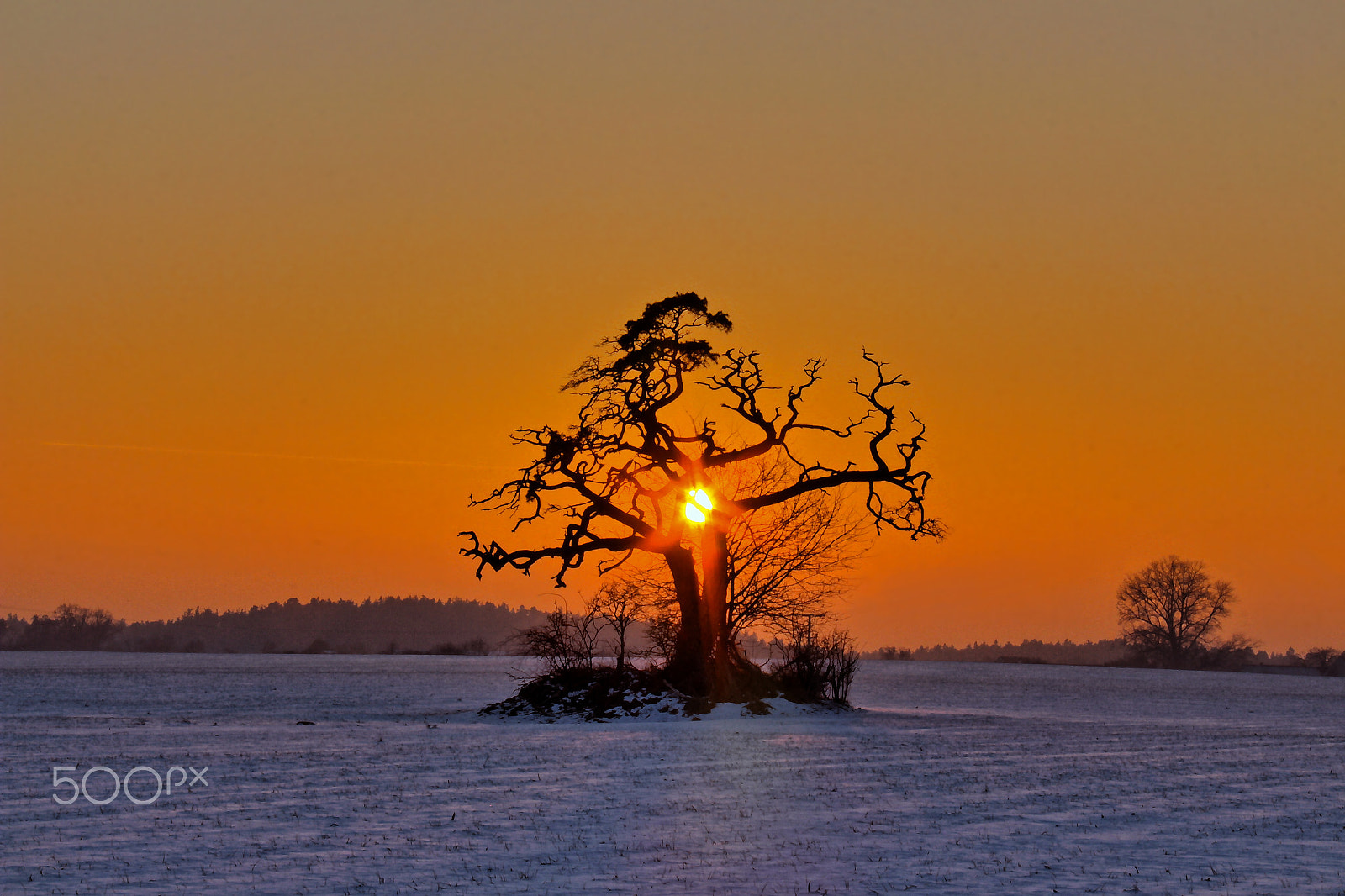 Canon EF-S 18-200mm F3.5-5.6 IS sample photo. Silhouette photography