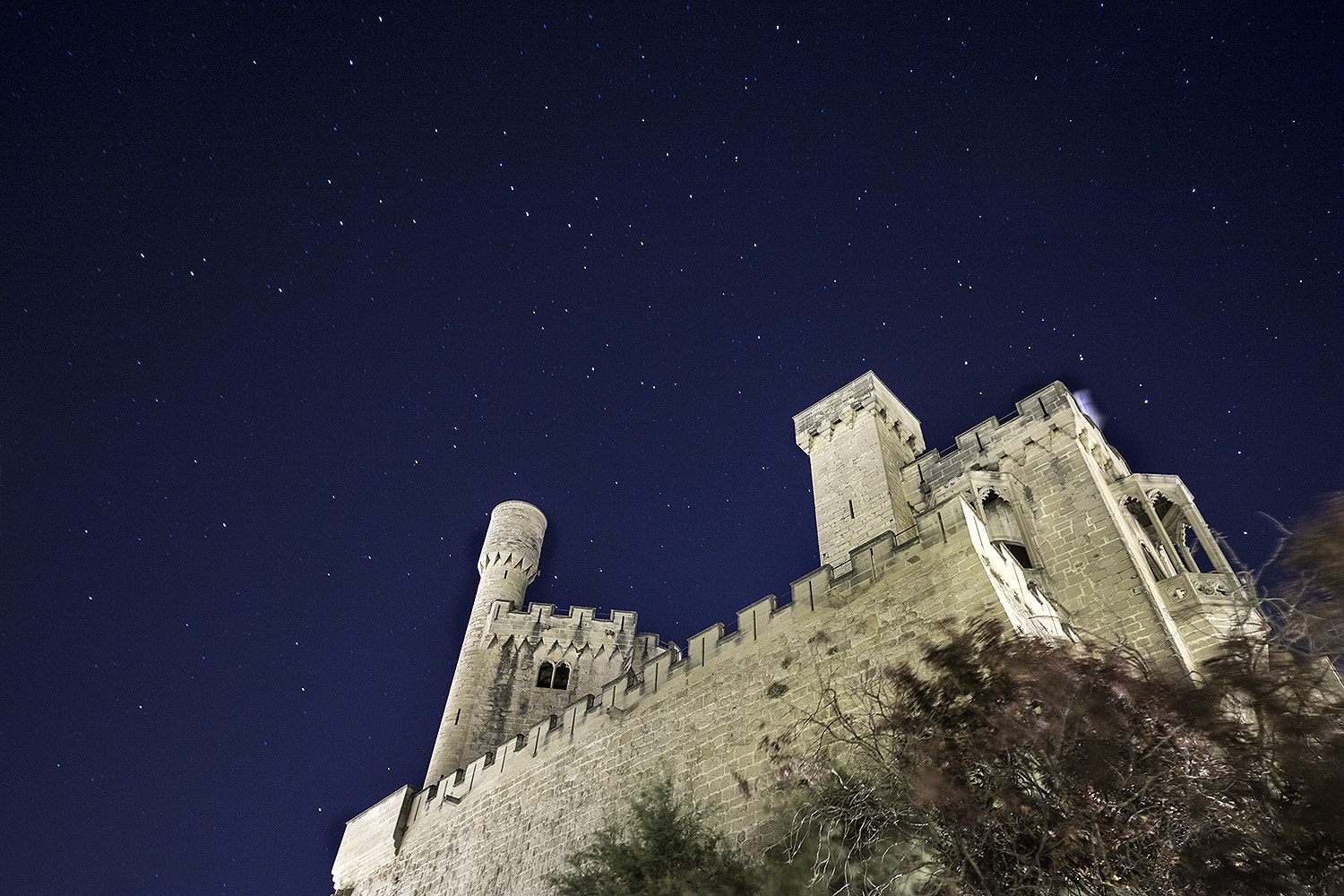 Canon EOS 7D Mark II sample photo. Castell d'olite i els estels d'estiu photography